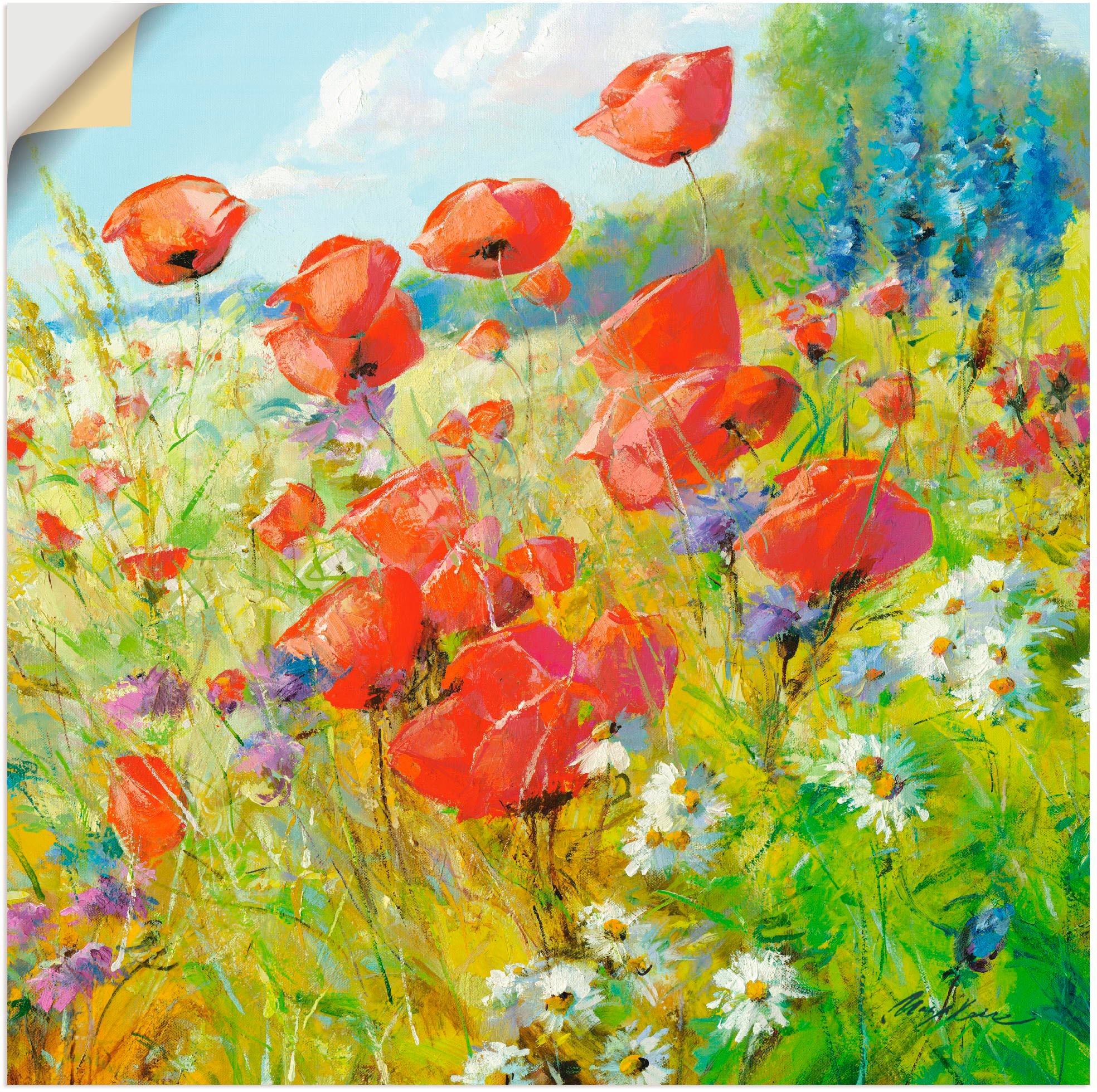 Artland Wandbild »Sommerwiese mit in Blumenwiese, BAUR Poster oder (1 versch. Wandaufkleber St.), Größen kaufen Alubild, | Mohnblumen«, als Leinwandbild