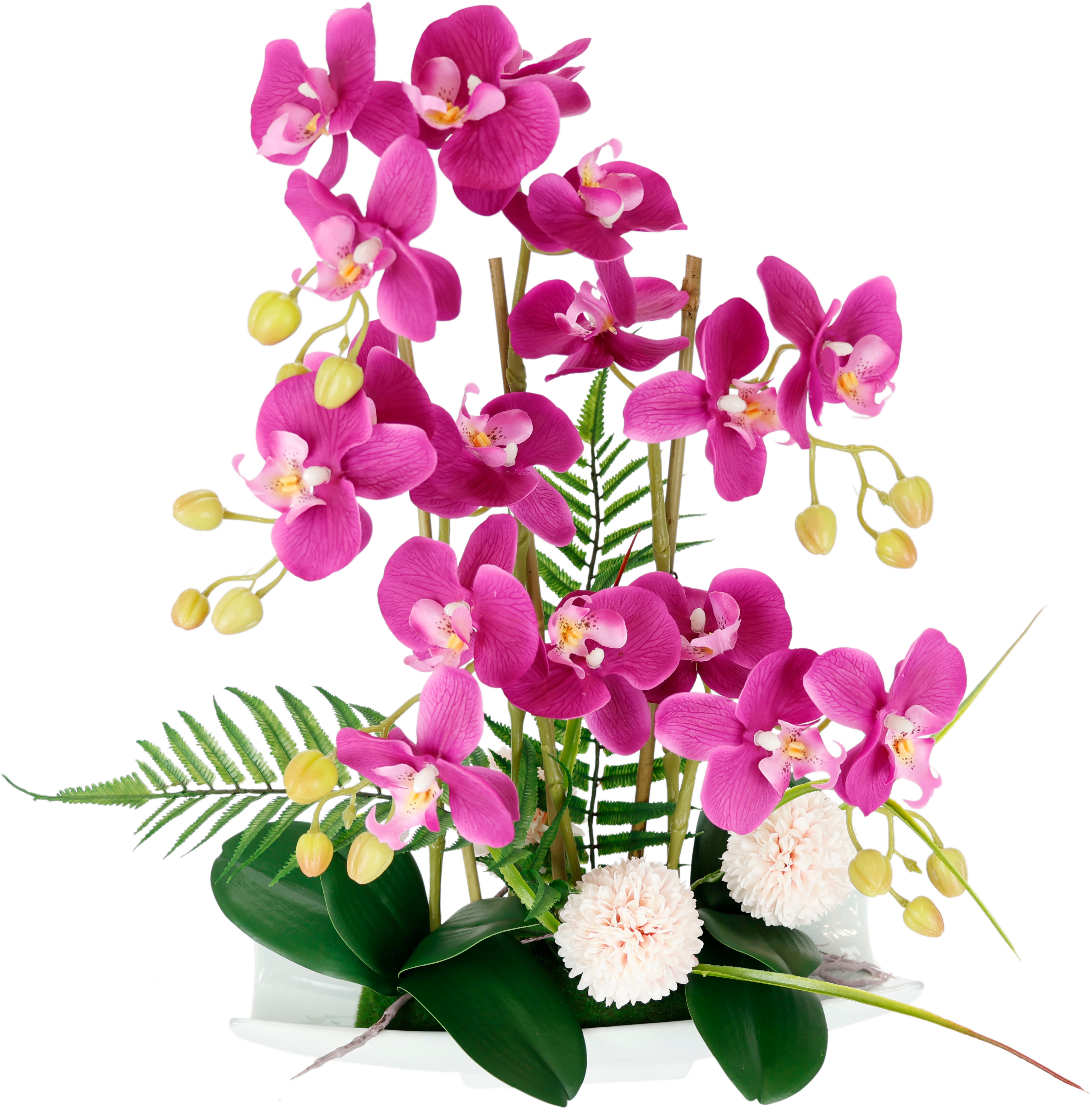 I.GE.A. Kunstblume "Orchideen" Künstliche Orchidee in Keramik-Schale Blume Kunstorchidee Phalaenopsis