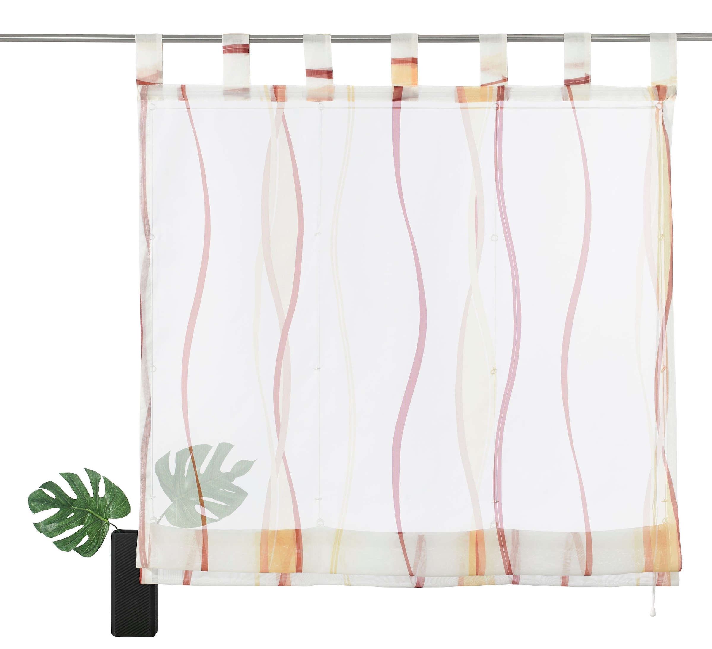 mit »Dimona«, Transparent, Raffrollo Voile, BAUR Schlaufen, my | home Polyester