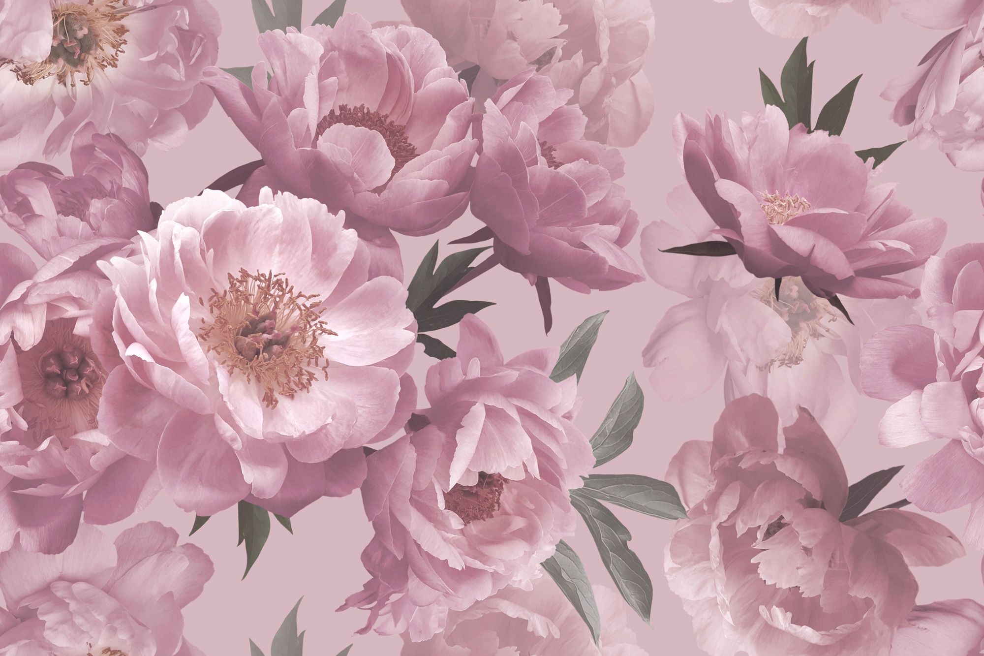 Papermoon Fototapete "BLUMEN ABSTRAKT-MUSTER DESIGN ROSEN BLUMEN DECOR RETRO"