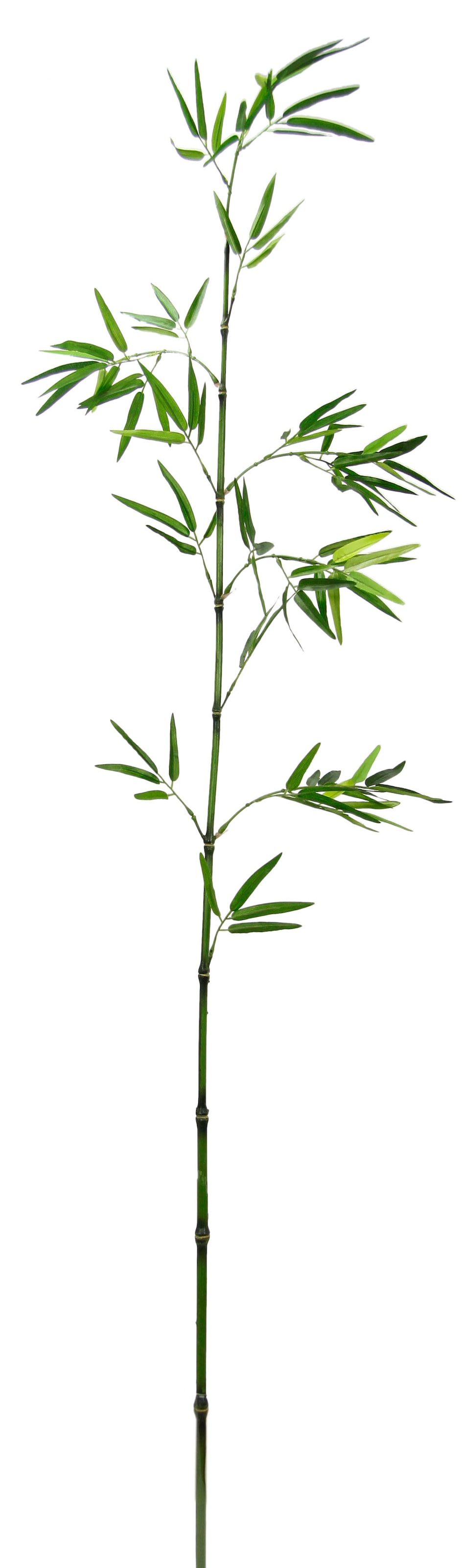 Set | Dekozweig, BAUR I.GE.A. 3er bestellen groß »Bambuszweig«, Kunstpflanze