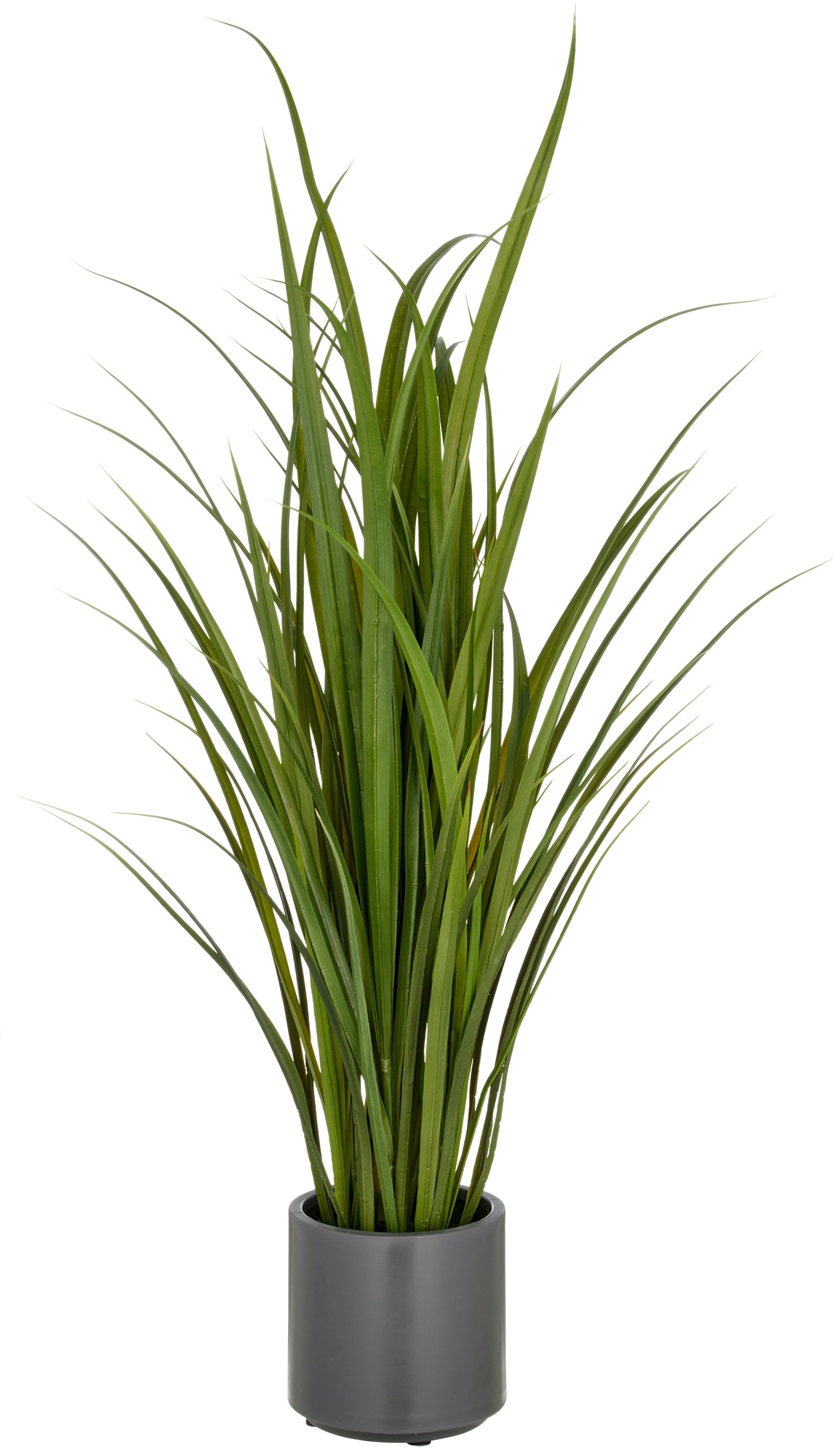 Creativ green Kunstgras "Grasbusch Miscanthus", im eleganten Topf günstig online kaufen