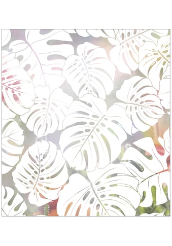 MySpotti Fensterfolie »Look Monstera white« hal...