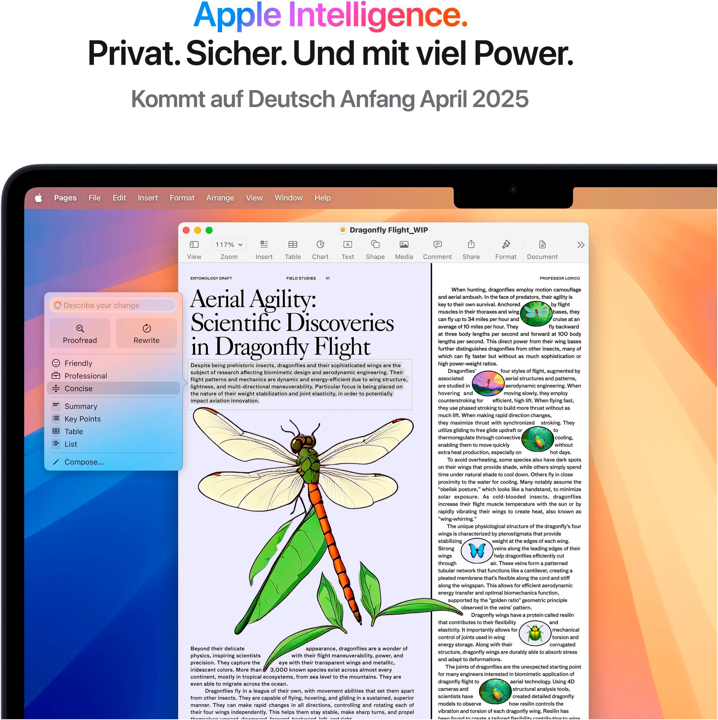 Apple Notebook »MacBook Air 13" CTO«, 34,46 cm, / 13,6 Zoll, Apple, M4, 8-Core GPU, 256 GB SSD