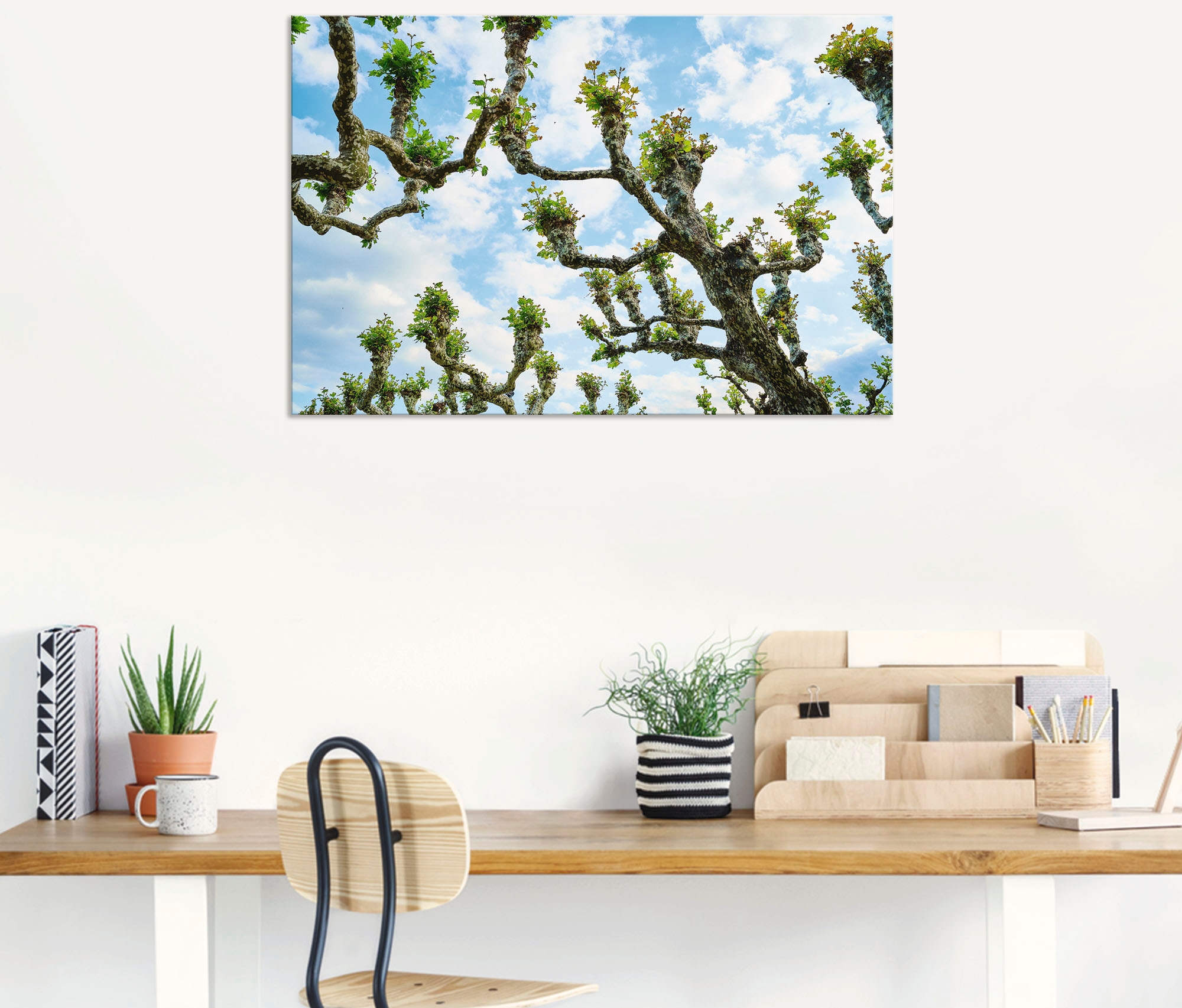 Artland Wandbild »Platanen«, Baumbilder, (1 St.), als Alubild, Leinwandbild, Wandaufkleber oder Poster in versch. Größen