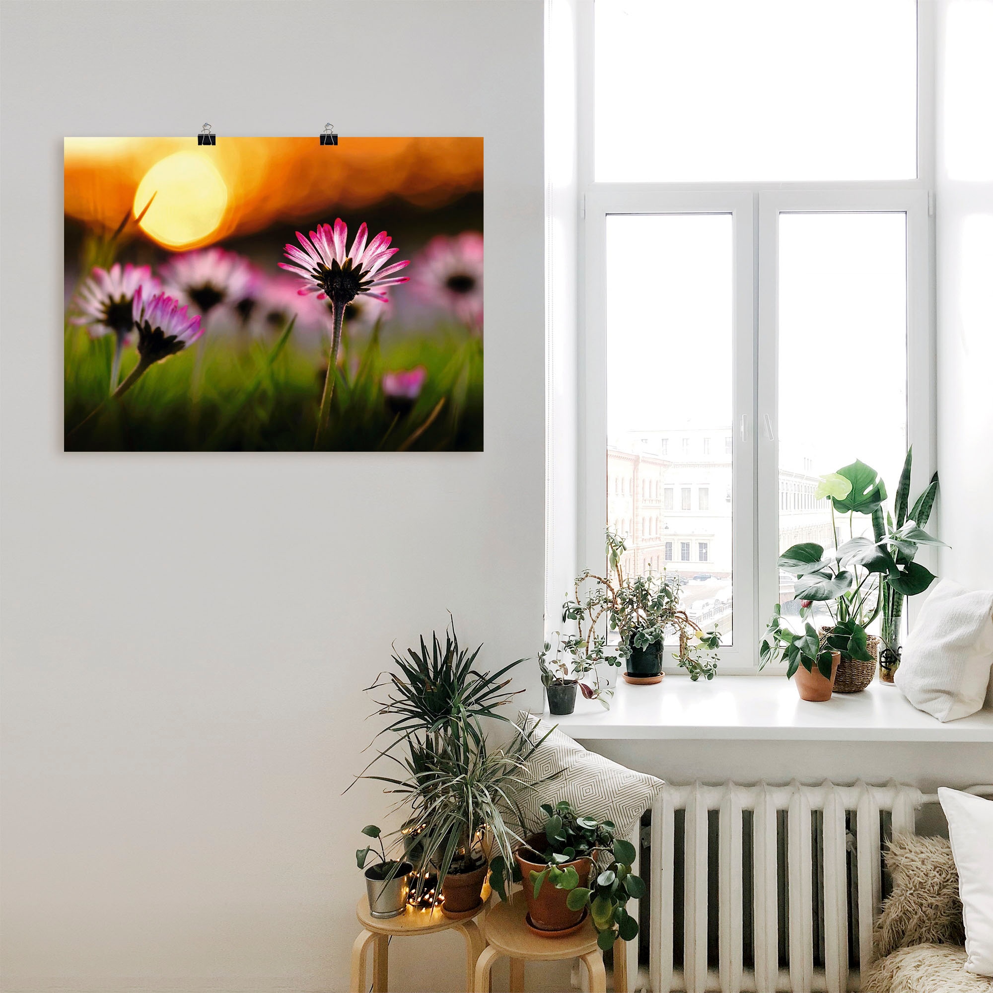 Artland Poster »Gänseblümchen im Sonnenuntergang«, Blumenwiese, (1 St.), als Alubild, Leinwandbild, Wandaufkleber oder Poster in versch. Größen