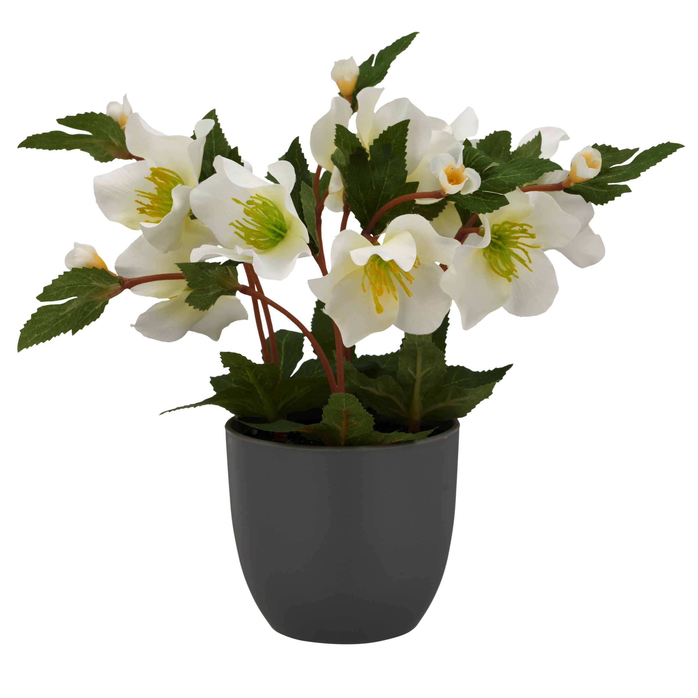 Creativ green Kunstblume "Christrose" mit üppiger Blütenpracht günstig online kaufen