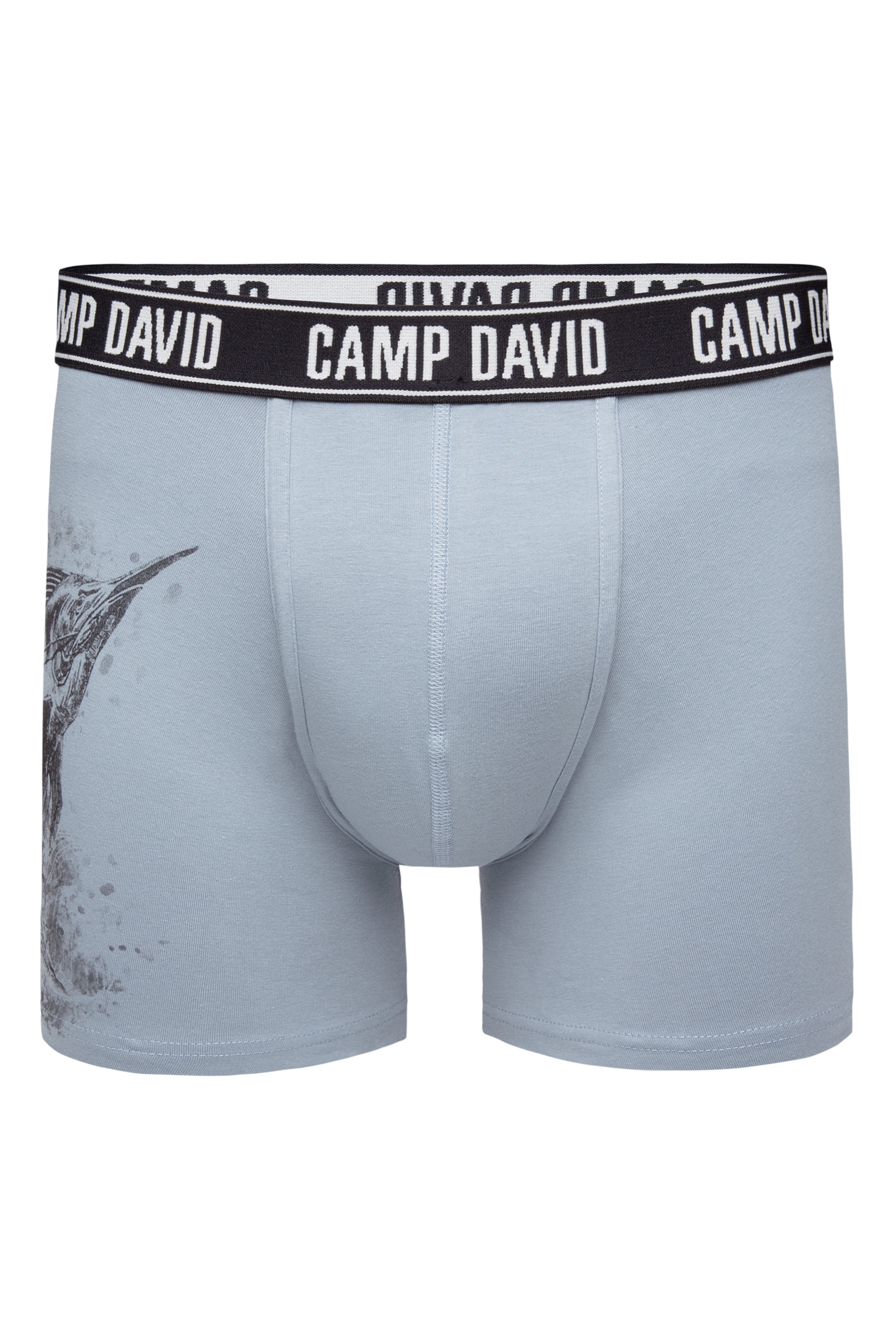 CAMP DAVID Boxershorts, (1 St.)