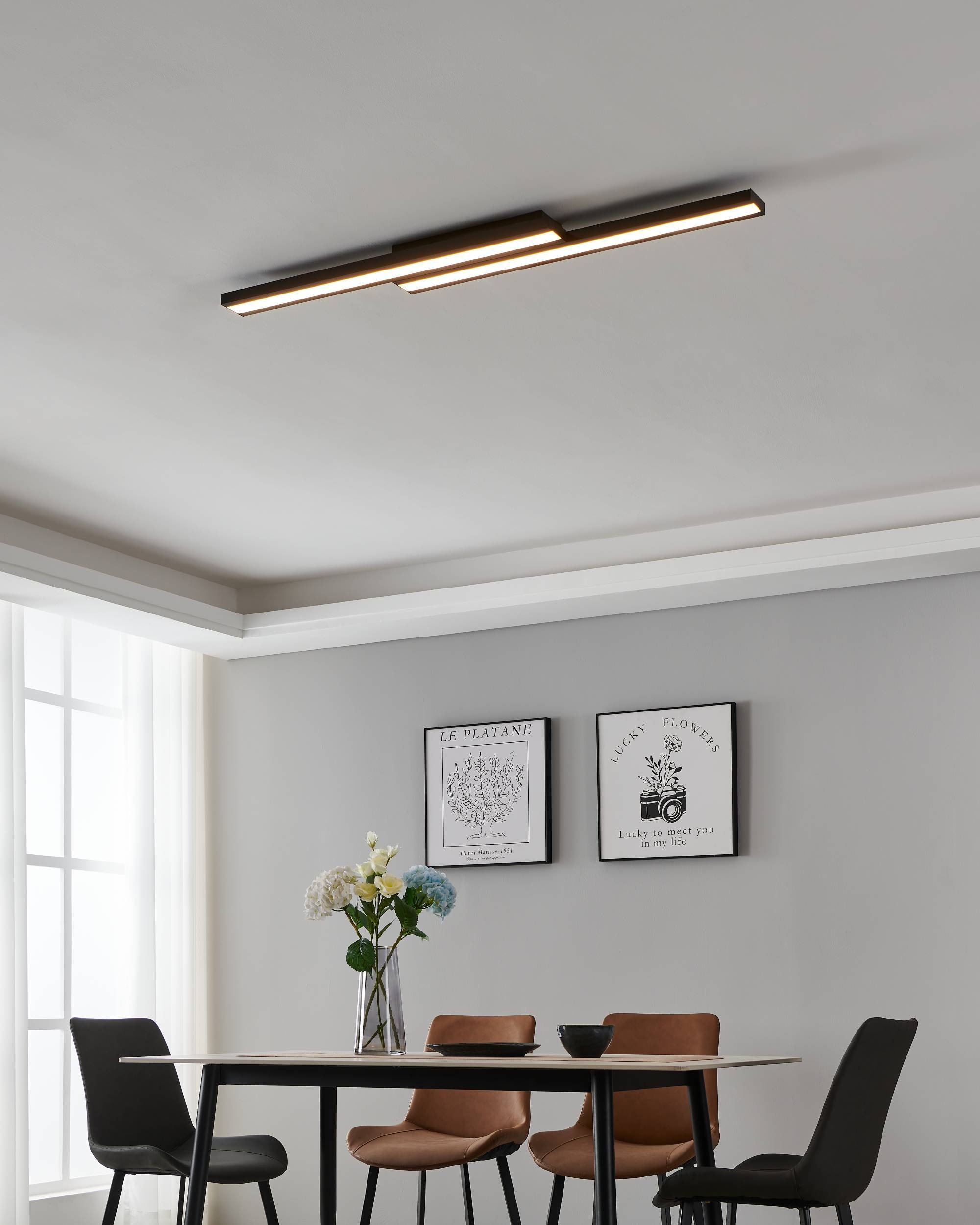 EGLO Deckenleuchte »SALITERAS-Z« in schwarz aus Stahl / inkl. LED fest integriert - 2 x 10,2 Watt