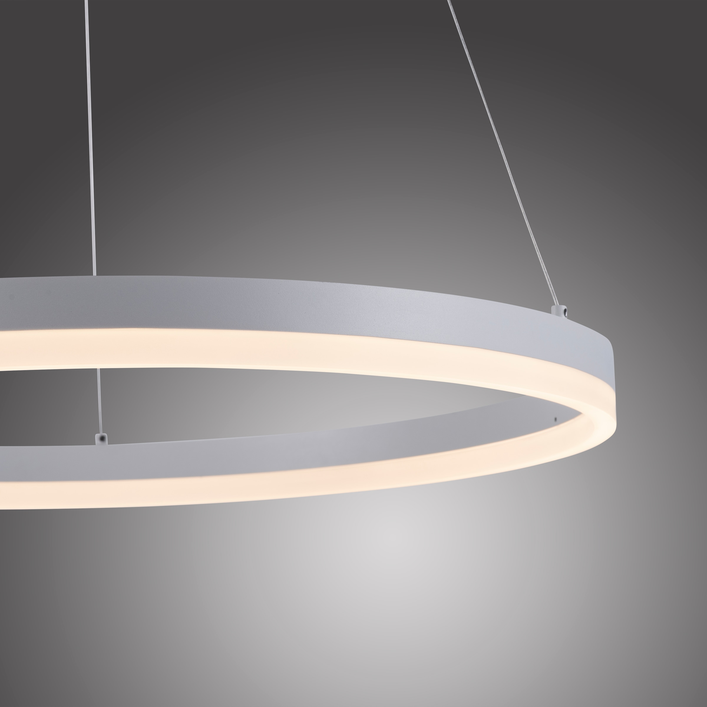 Paul Neuhaus Pendelleuchte »TITUS«, 1 flammig, Leuchtmittel LED-Board | LED fest integriert, LED, dimmbar, Simply Dim, Memory, nach Trennung vom Netz