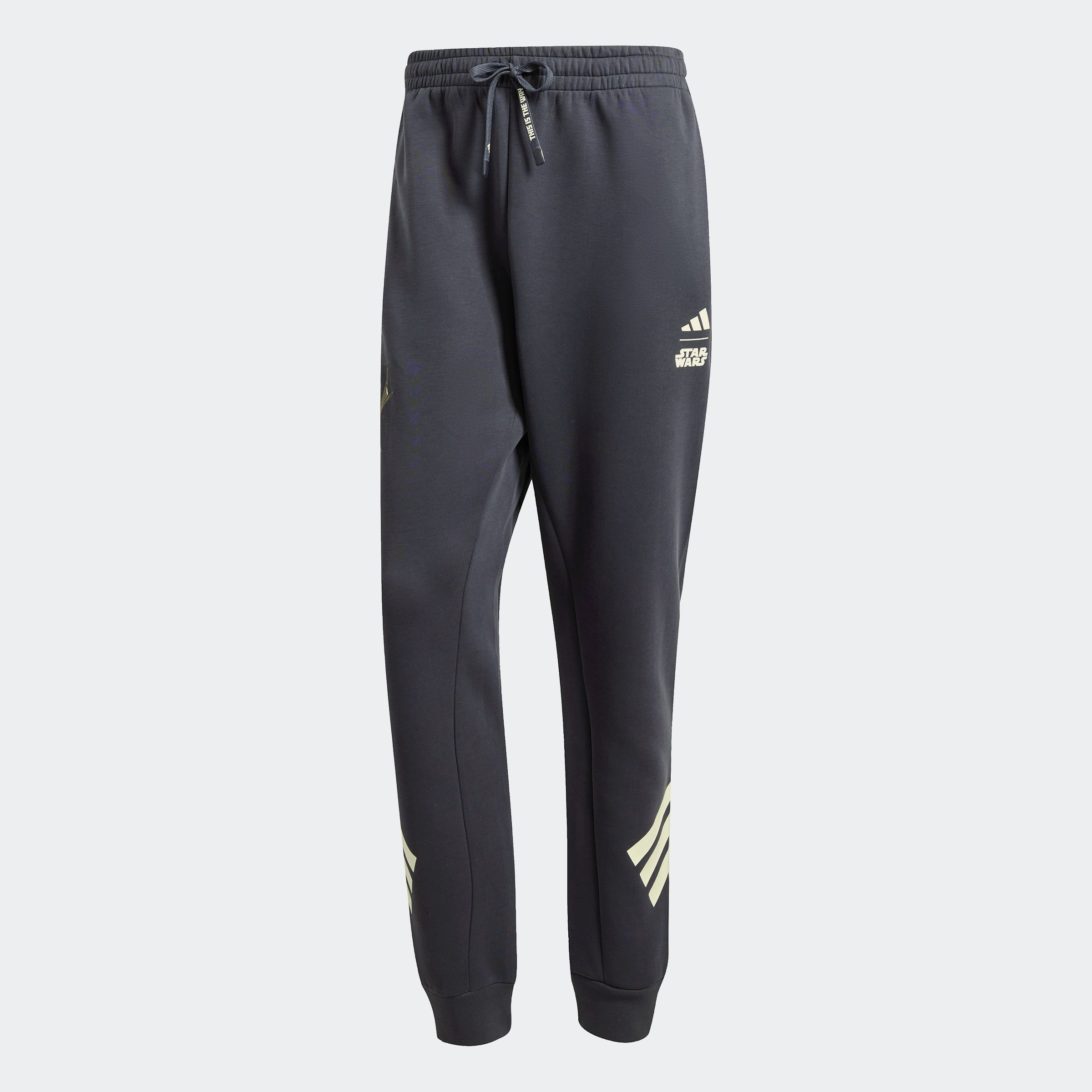 adidas Sportswear Sporthose »M SW TM SWTPNTS«, (1 tlg.)
