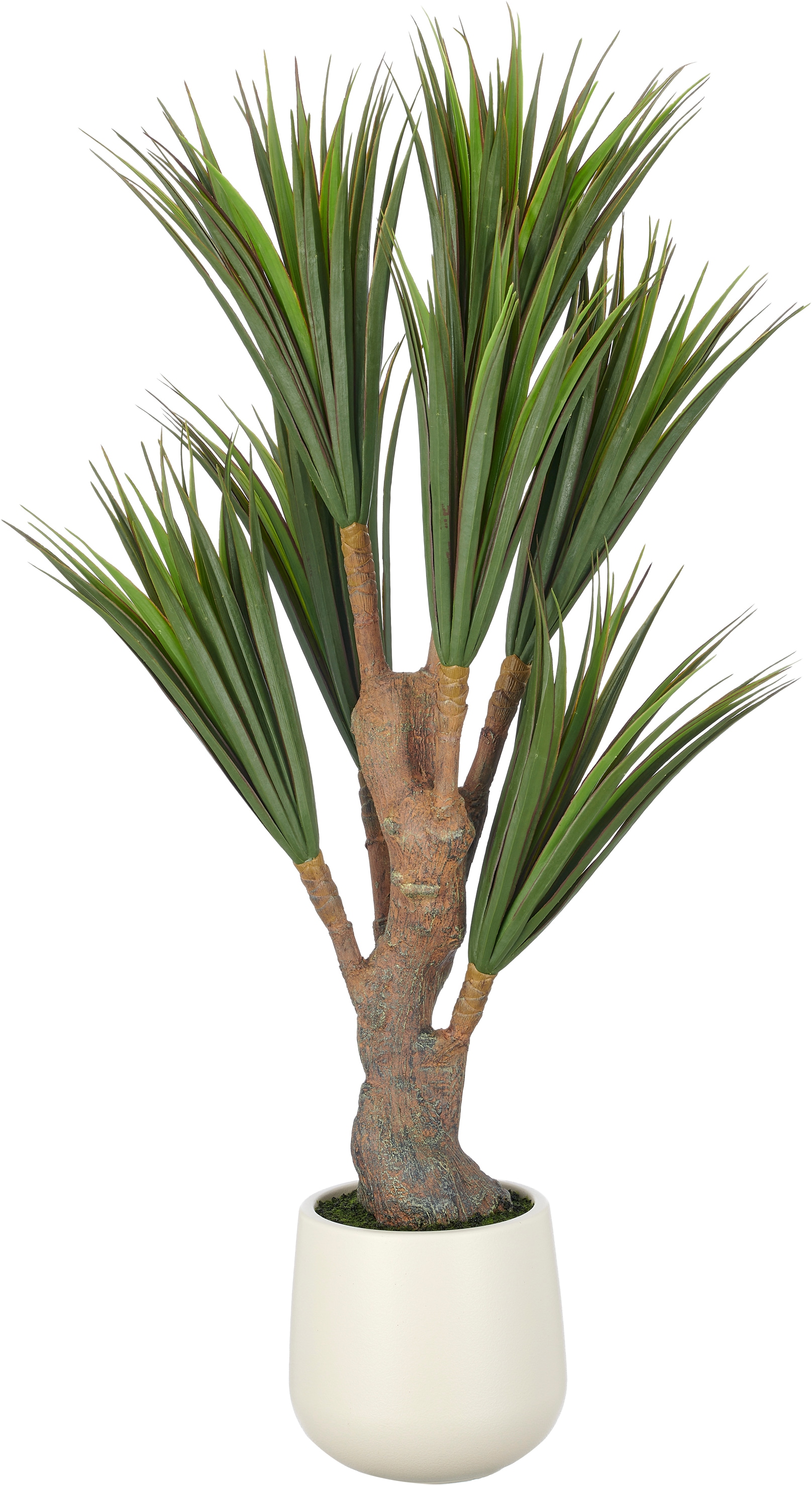 Creativ green Kunstpflanze "Dracaena" mit naturgetreuem Blattwerk