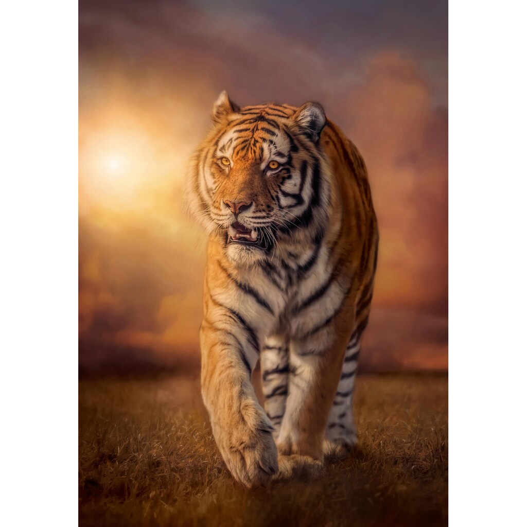 Clementoni® Puzzle »High Quality Collection, Tiger«, Made in Europe