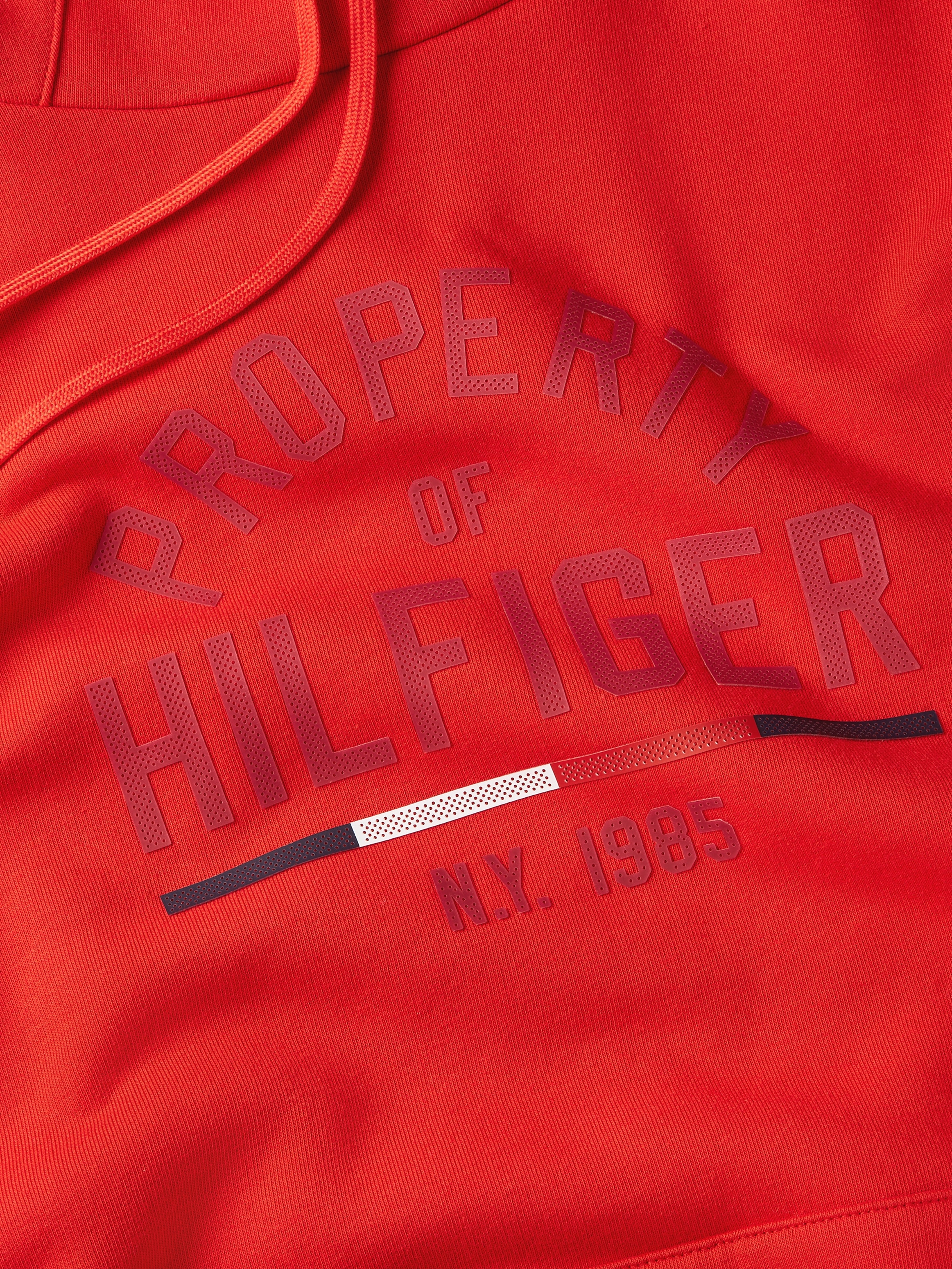 Tommy Hilfiger Sport Kapuzensweatshirt »GRAPHIC HOODY«