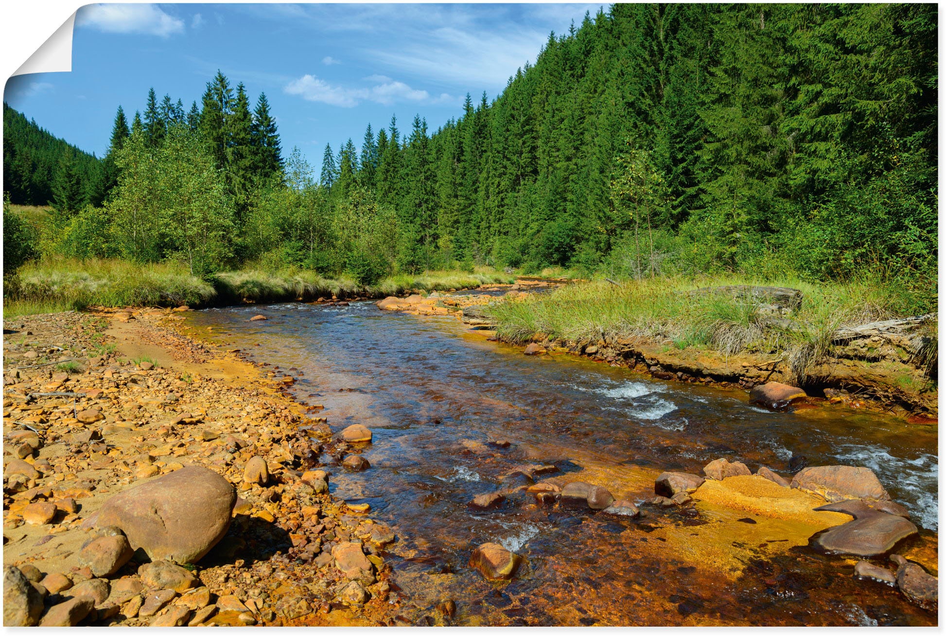 Artland Wandbild »Fluss Neagra, Caliman-Nationalpark«, Gewässer, (1 St.), als Alubild, Outdoorbild, Poster in verschied. Größen