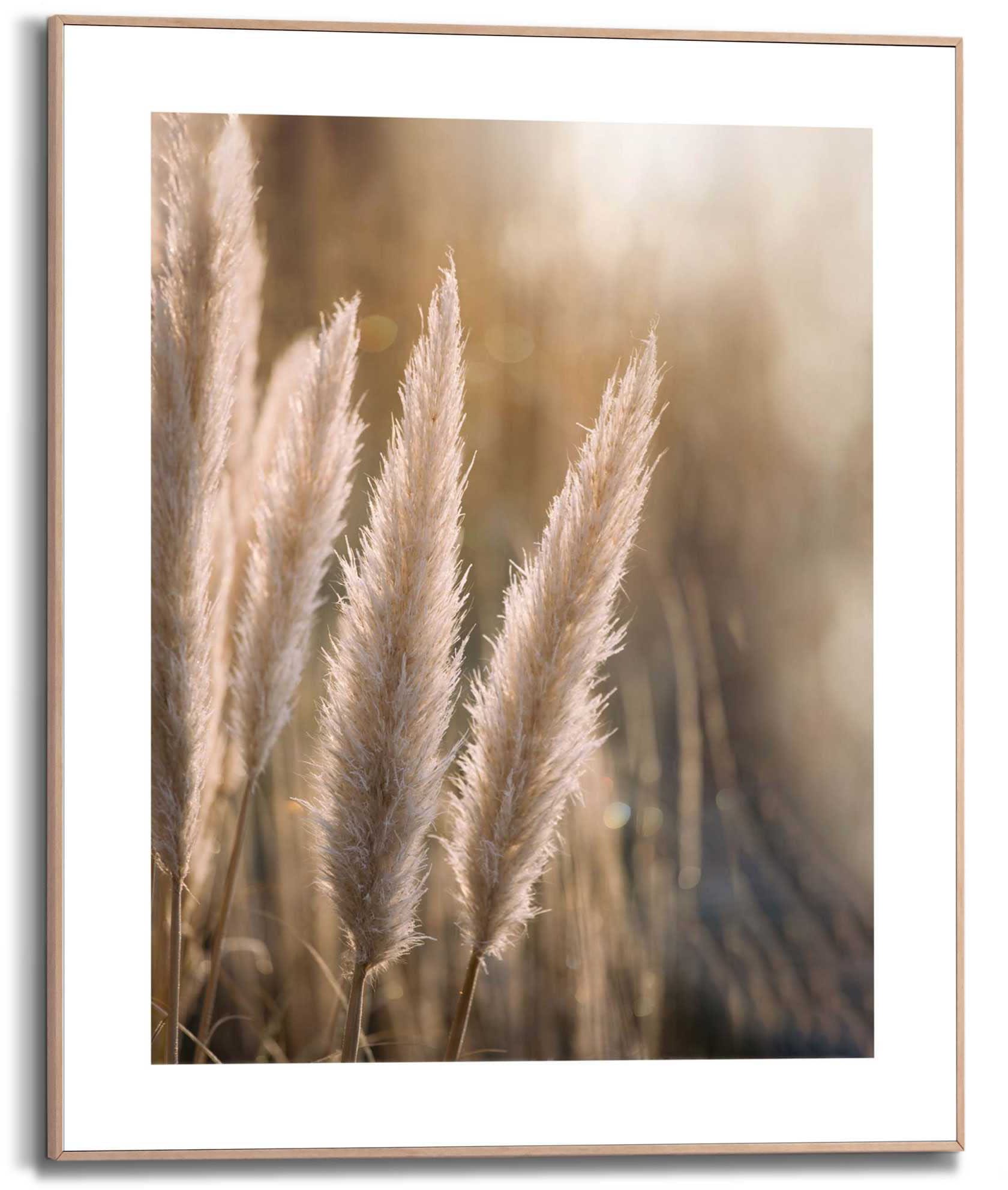 Reinders Kunstdruck "Pampas" günstig online kaufen