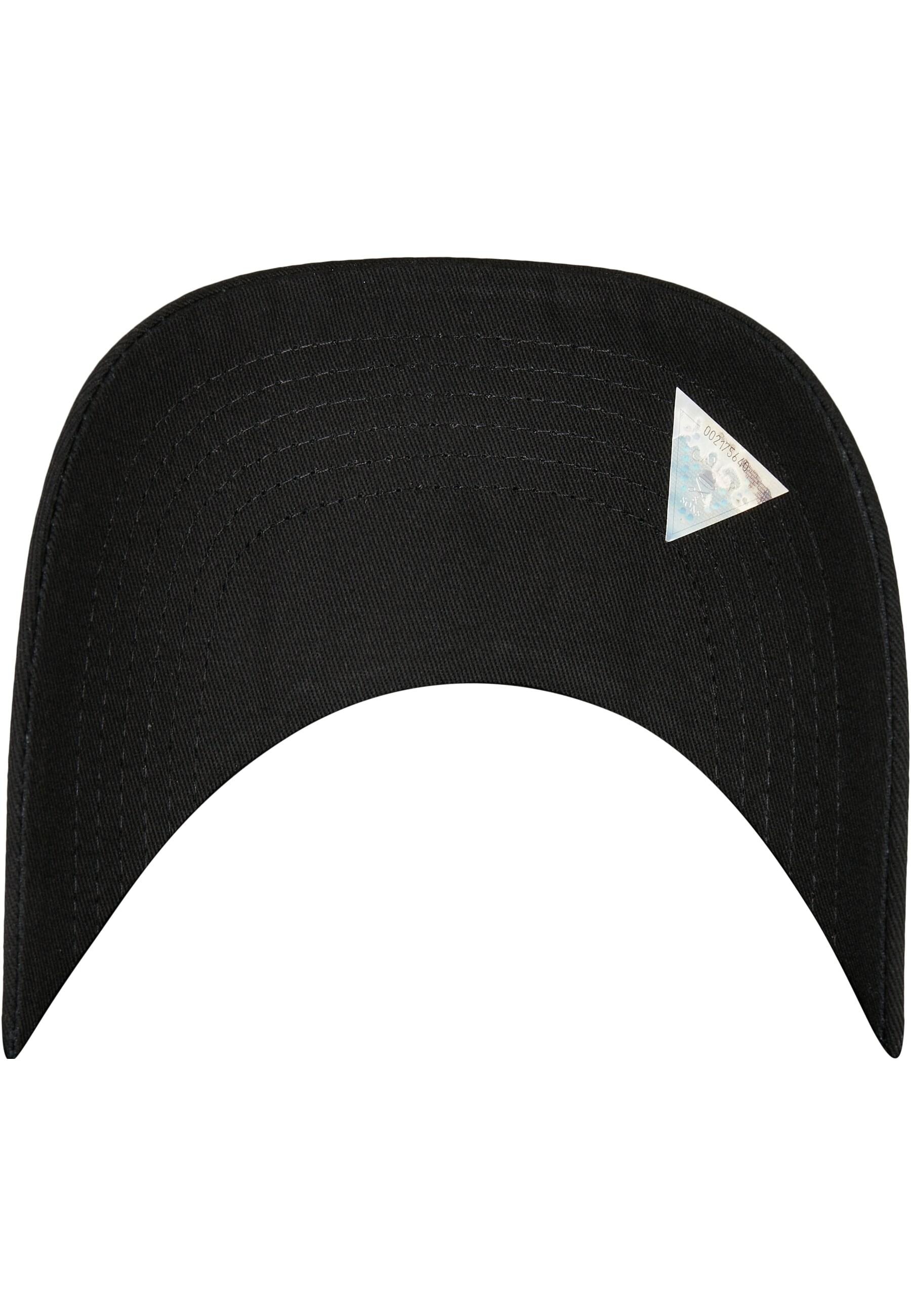 CAYLER & SONS Snapback Cap »Cayler & Sons Unisex C&S WL Pay Me Curved Cap«