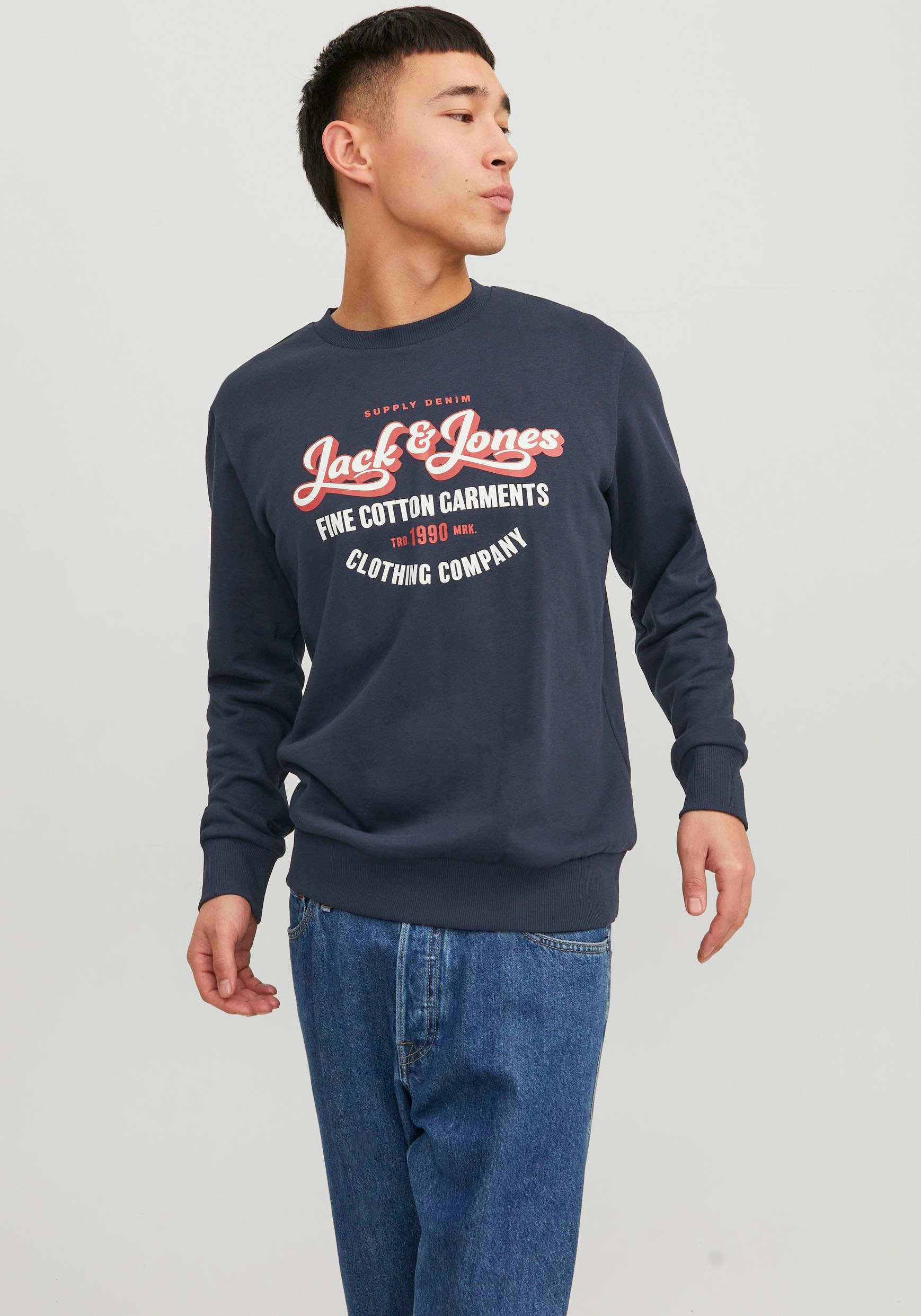 Jack & Jones Sweatshirt »JJ JJANDY SWEAT CREW NECK«