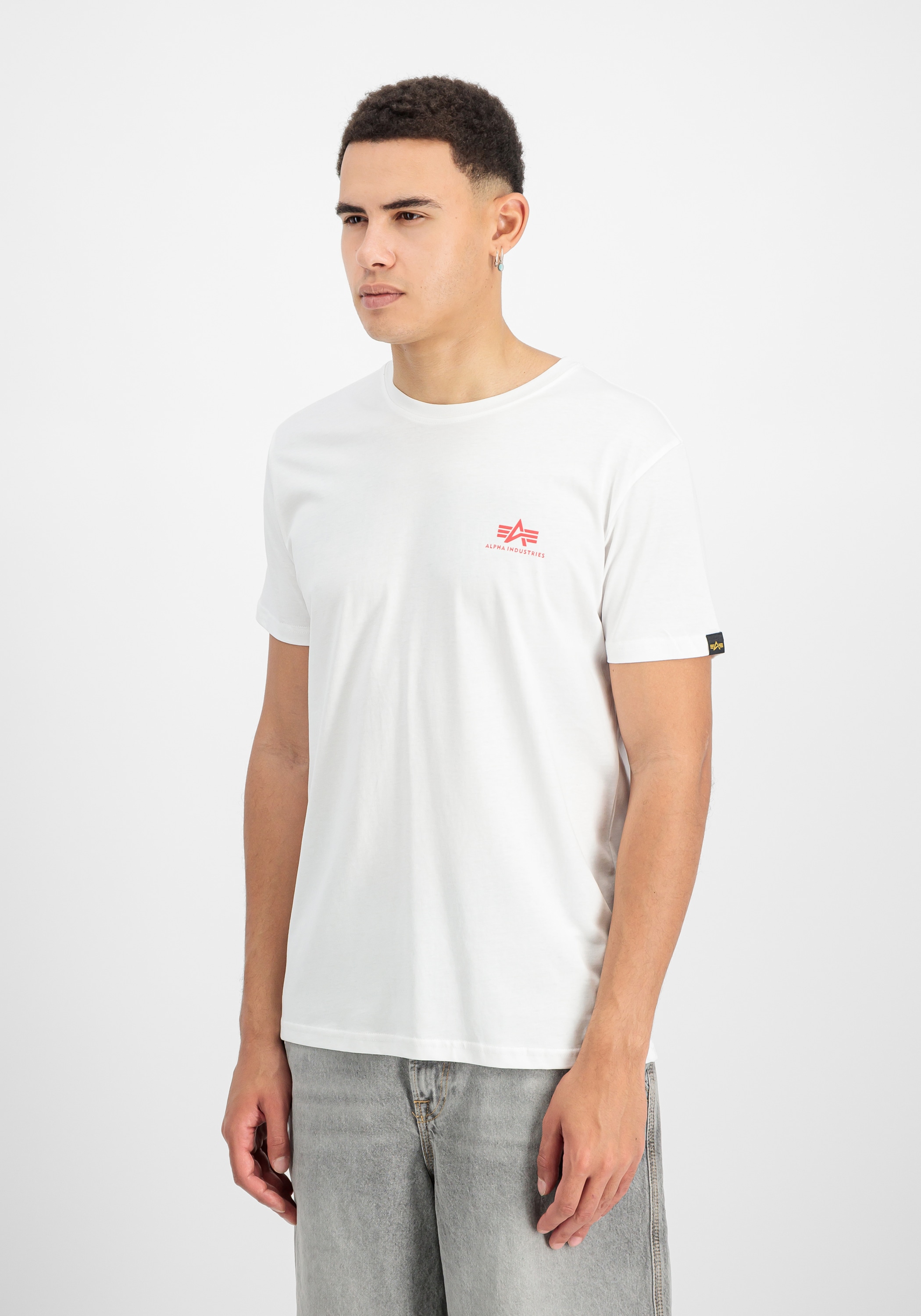 Alpha Industries T-Shirt "Backprint T-Shirt" günstig online kaufen