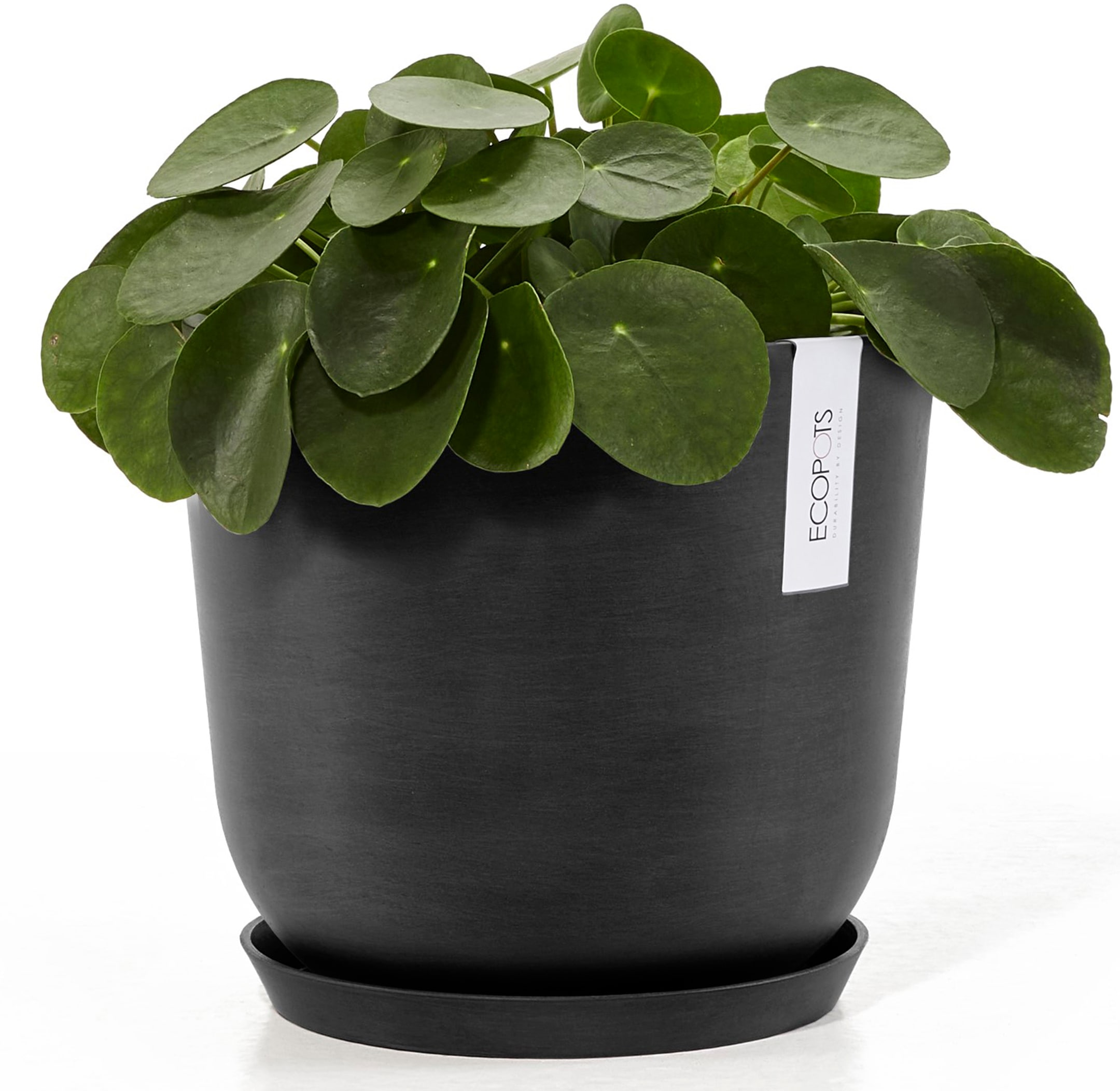 ECOPOTS Blumentopf »Oslo 25 Dunkelgrau«, für innen und außen: frostsicher, bruchsicher und lichtbeständig