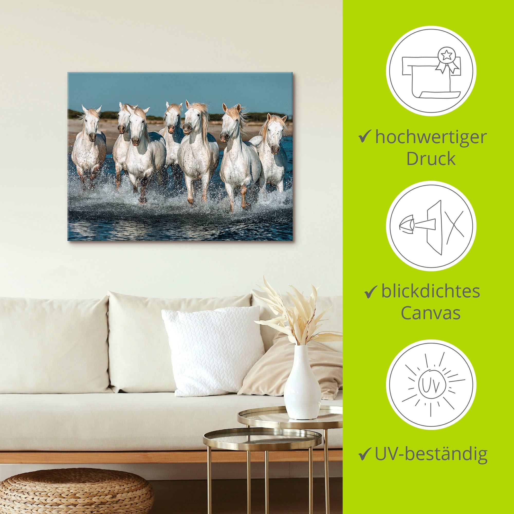 Artland Wandbild »Camargue Pferde galoppieren am Strand«, Haustiere, (1 St.), als Alubild, Outdoorbild, Leinwandbild, Poster, Wandaufkleber