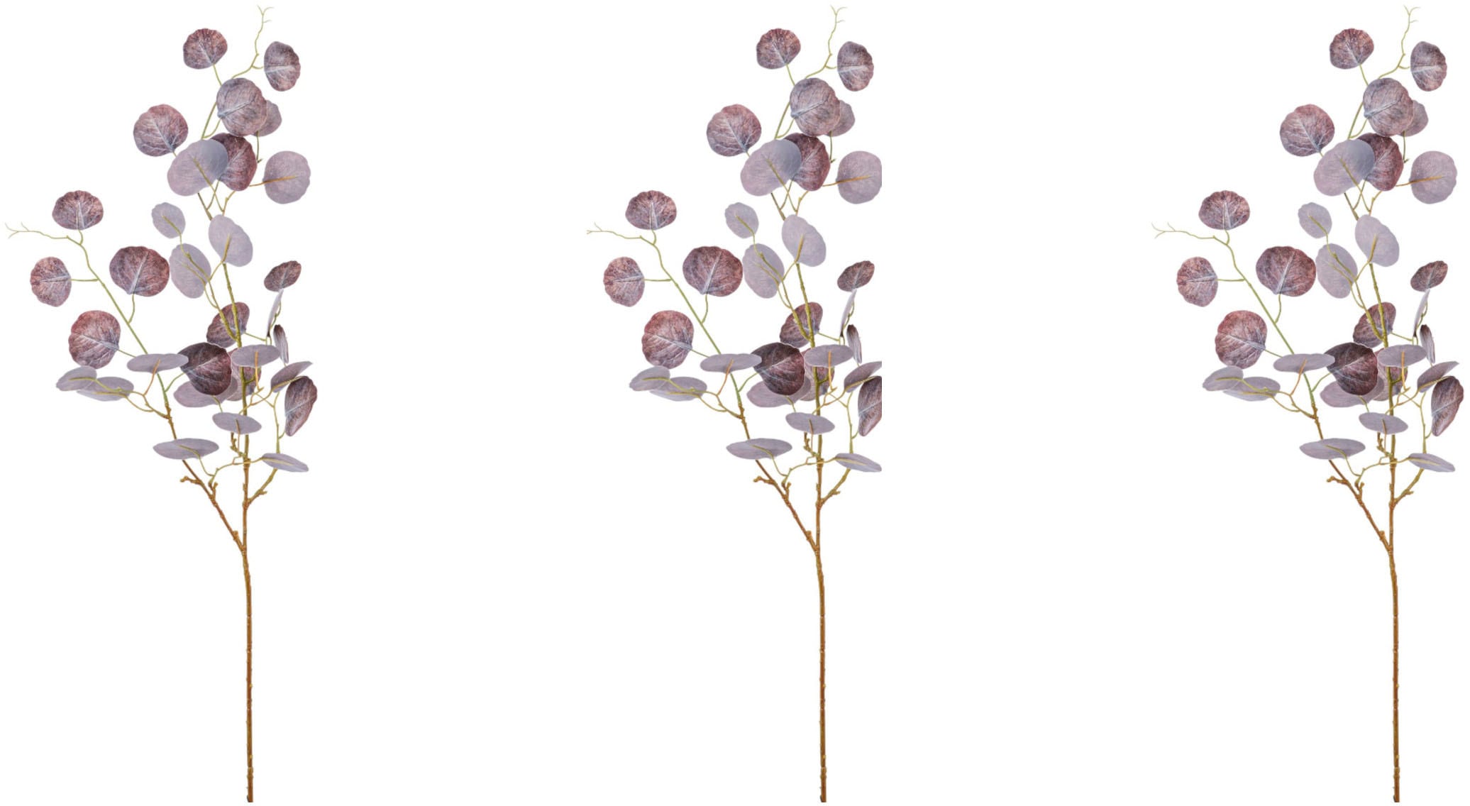 Creativ green Kunstzweig »Eukalypthus-Zweig«, (3 St.) kaufen
