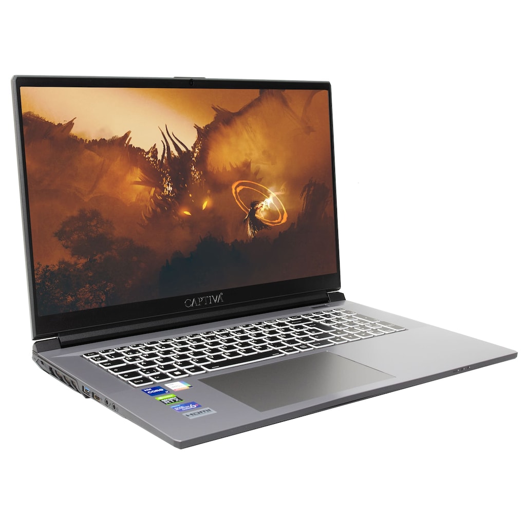 CAPTIVA Gaming-Notebook »Advanced Gaming I68-206«, 43,9 cm, / 17,3 Zoll, Intel, Core i7, GeForce RTX 3060, 1000 GB SSD