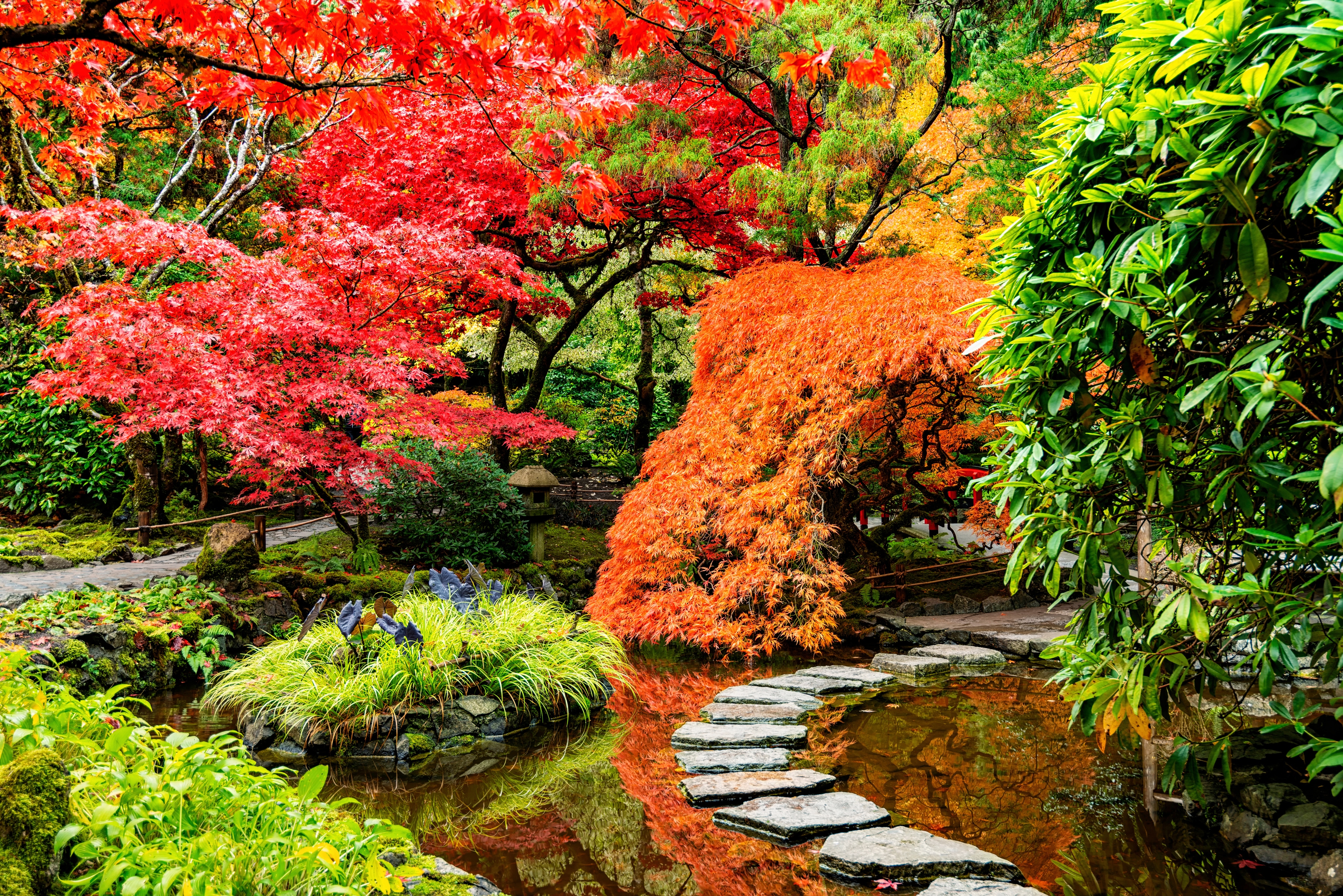 Papermoon Fototapete "JAPANISCHER GARTEN-BLUMEN BÄUME SEE NATUR HERBST WALD"
