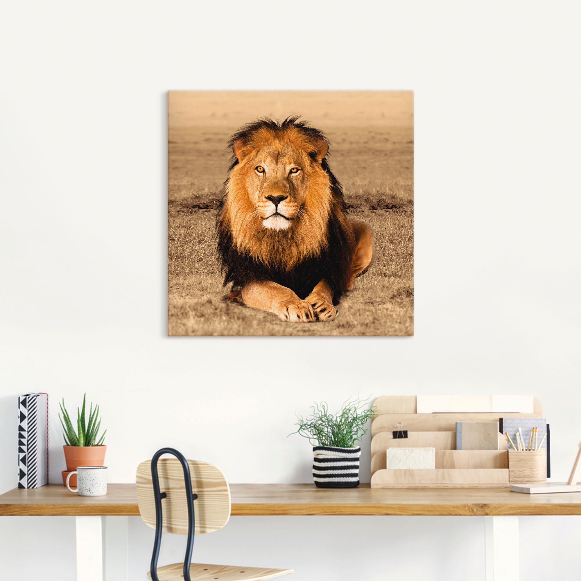 Artland Wandbild »Löwe«, Wildtiere, (1 als Poster BAUR Größen versch. Wandaufkleber kaufen | St.), oder Alubild, in Leinwandbild