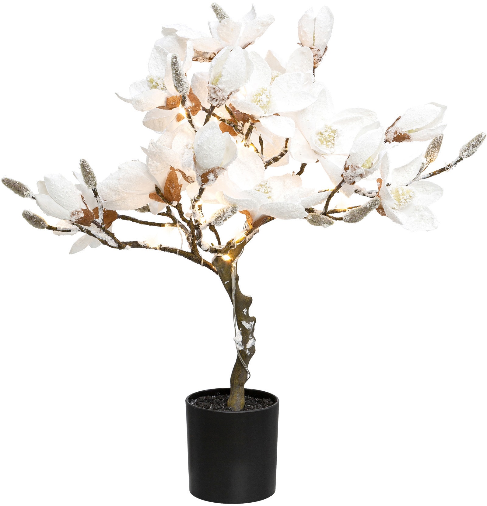 Creativ deco Kunstpflanze »Magnolie«, beschneit, Höhe ca. 58 cm, mit 20 LEDs