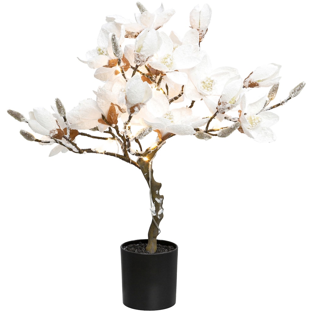 Creativ deco LED Baum »Magnolie«, 25 flammig-flammig, beschneit, Höhe ca. 58 cm, mit 20 LEDs