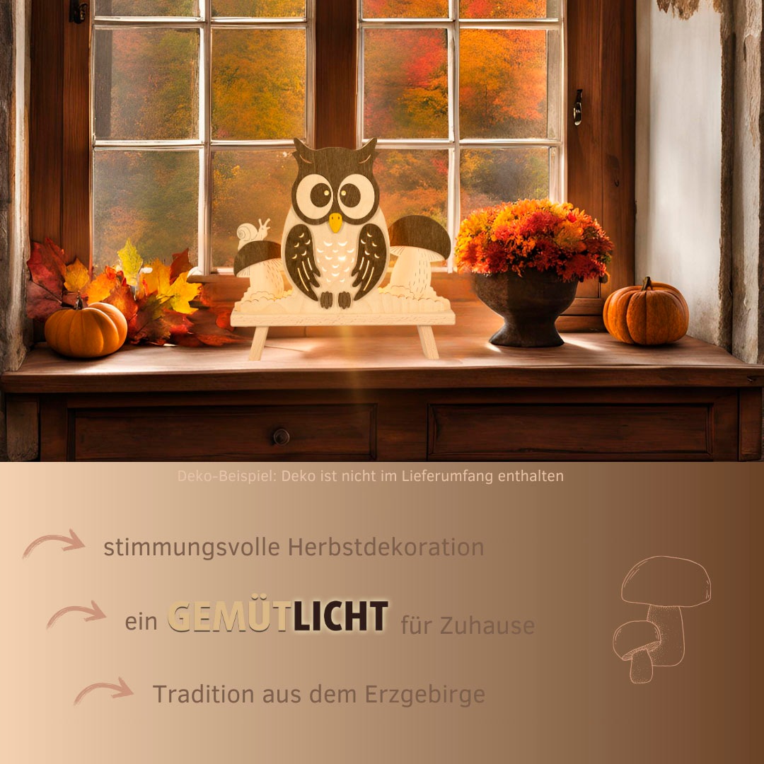 Weigla Dekolicht »Eule, Dekolampe aus Holz, NATUR-BRAUN«, 1 flammig, Leuchtmittel E14 | Leuchtmittel wechselbar, Erzgebirge garantiert, Herbstdeko innen, Tischlampe