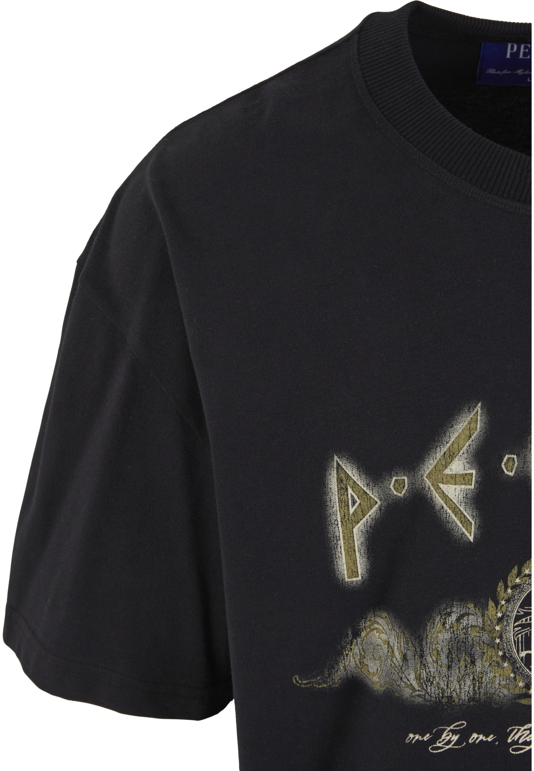 PEQUS T-Shirt »PEQUS PEQUS Ancient Painting T-Shirt« 1 Stk.