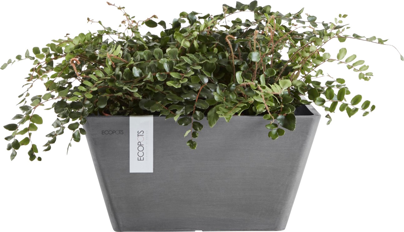 ECOPOTS Blumentopf »BERLIN Grey«, BxTxH: 41x41x18 cm