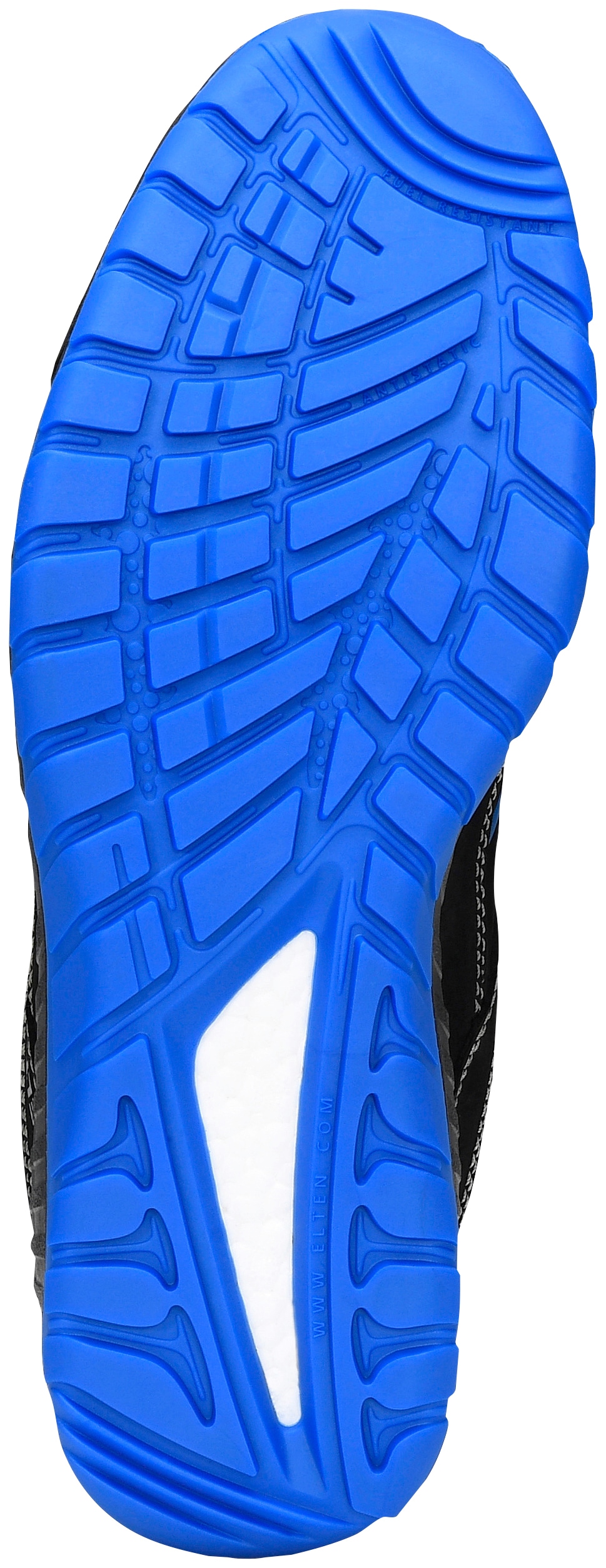 Elten Sicherheitsschuh »MALVIN blue Low | BAUR bestellen ESD S3«