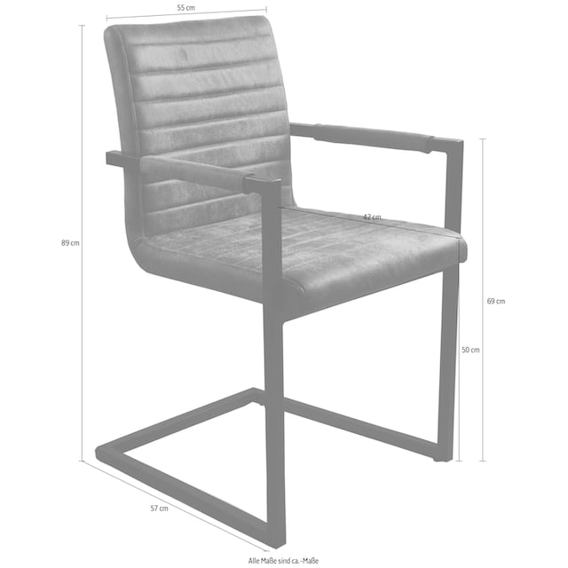 SIT Freischwinger »Sit&Chairs«, (Set), 2 St., Microfaser Antiklederoptik  kaufen | BAUR