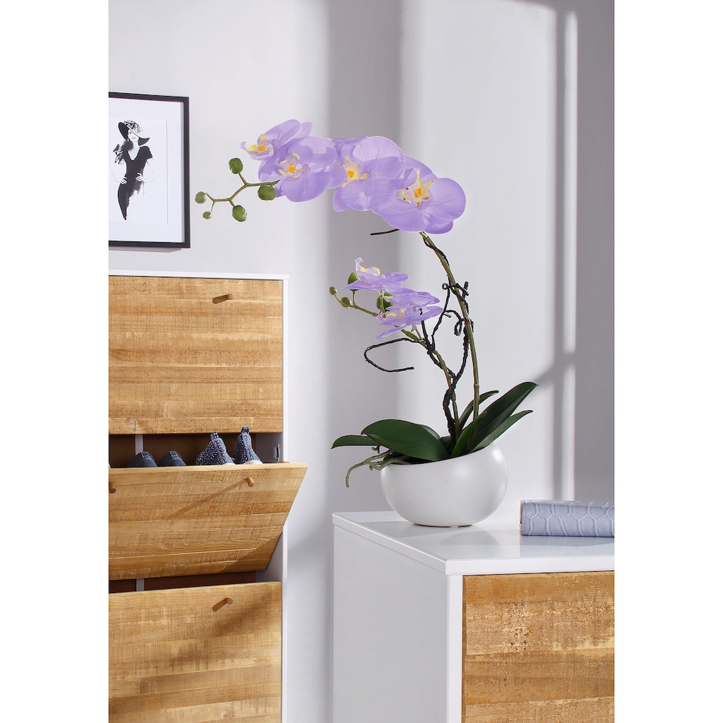 Creativ green Kunstpflanze »Orchidee«