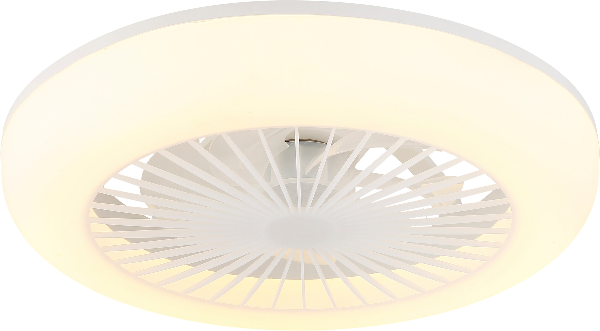 GLOBO LIGHTING Deckenleuchte »FERRELL« LED-Modul 1 Stk. Deckenventilator mit LED, dimmbar, smart & energiesparend
