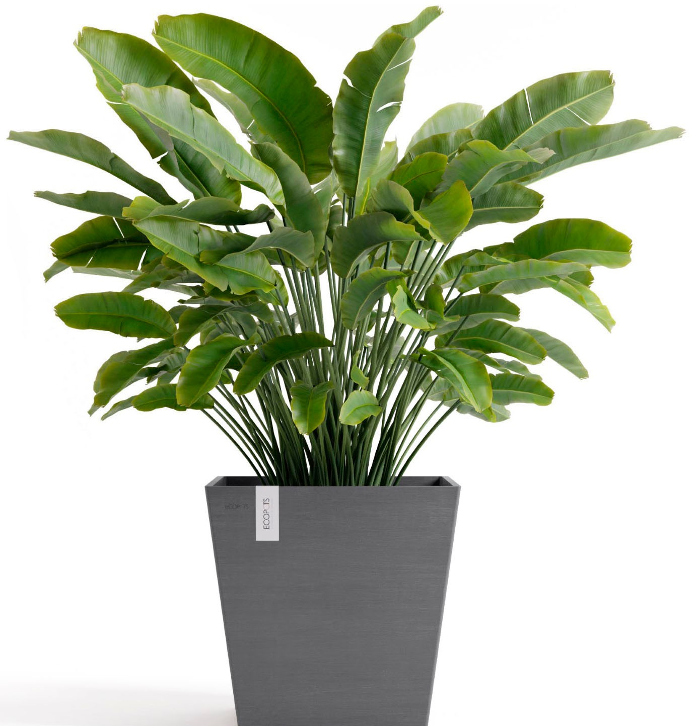 ECOPOTS Blumentopf »Rotterdam 45 + Wassersystem Grau« für innen und außen: frostsicher, bruchsicher und lichtbeständig