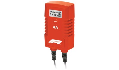 Formula 1 Batterie-Ladegerät »BC240«, für 6/12 Volt kaufen