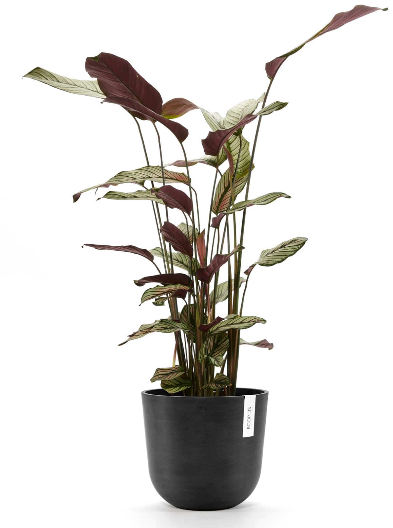 ECOPOTS Blumentopf »Oslo 25 Dunkelgrau«, für innen und außen: frostsicher, bruchsicher und lichtbeständig