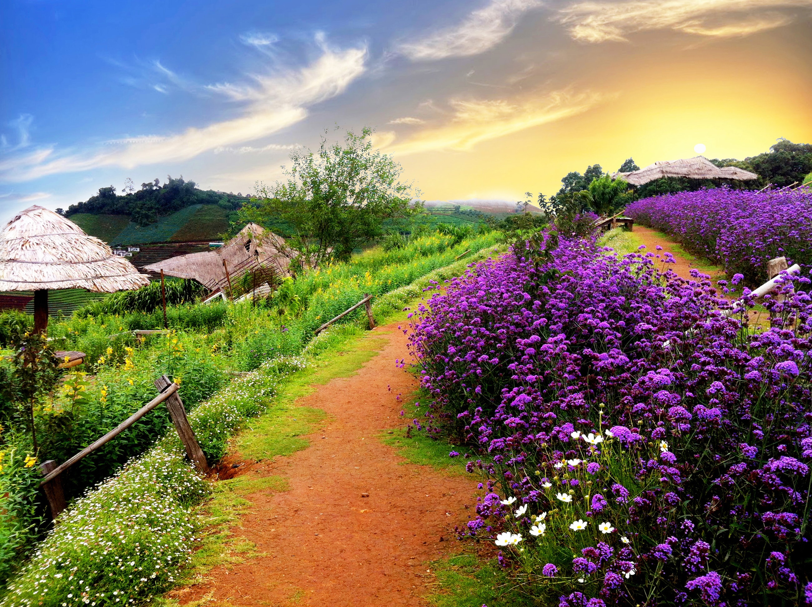 Papermoon "BUNTE BLUMEN-THAILAND PFLANZE DEKOR NATUR BLÜTE MUSTER"