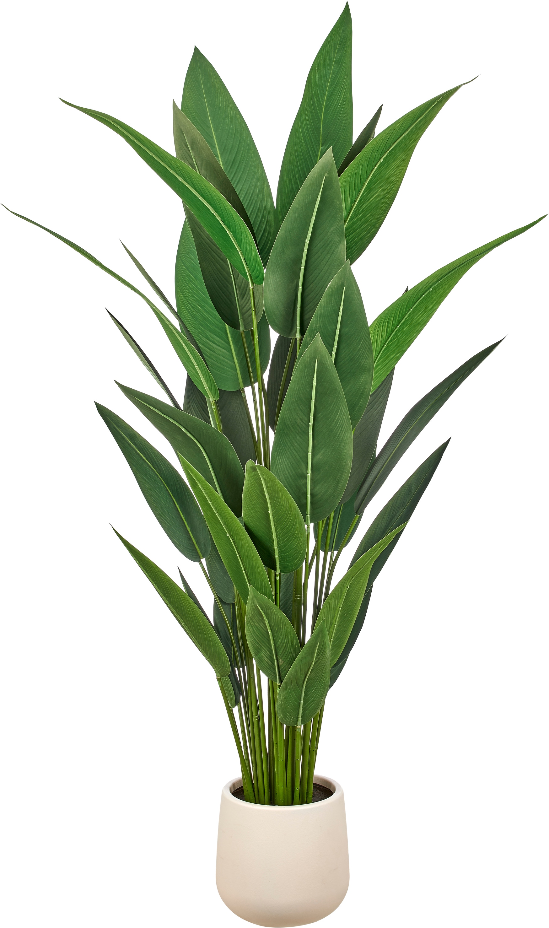 Creativ green Kunstpflanze "Strelitzia reginae" in beeindruckender Größe