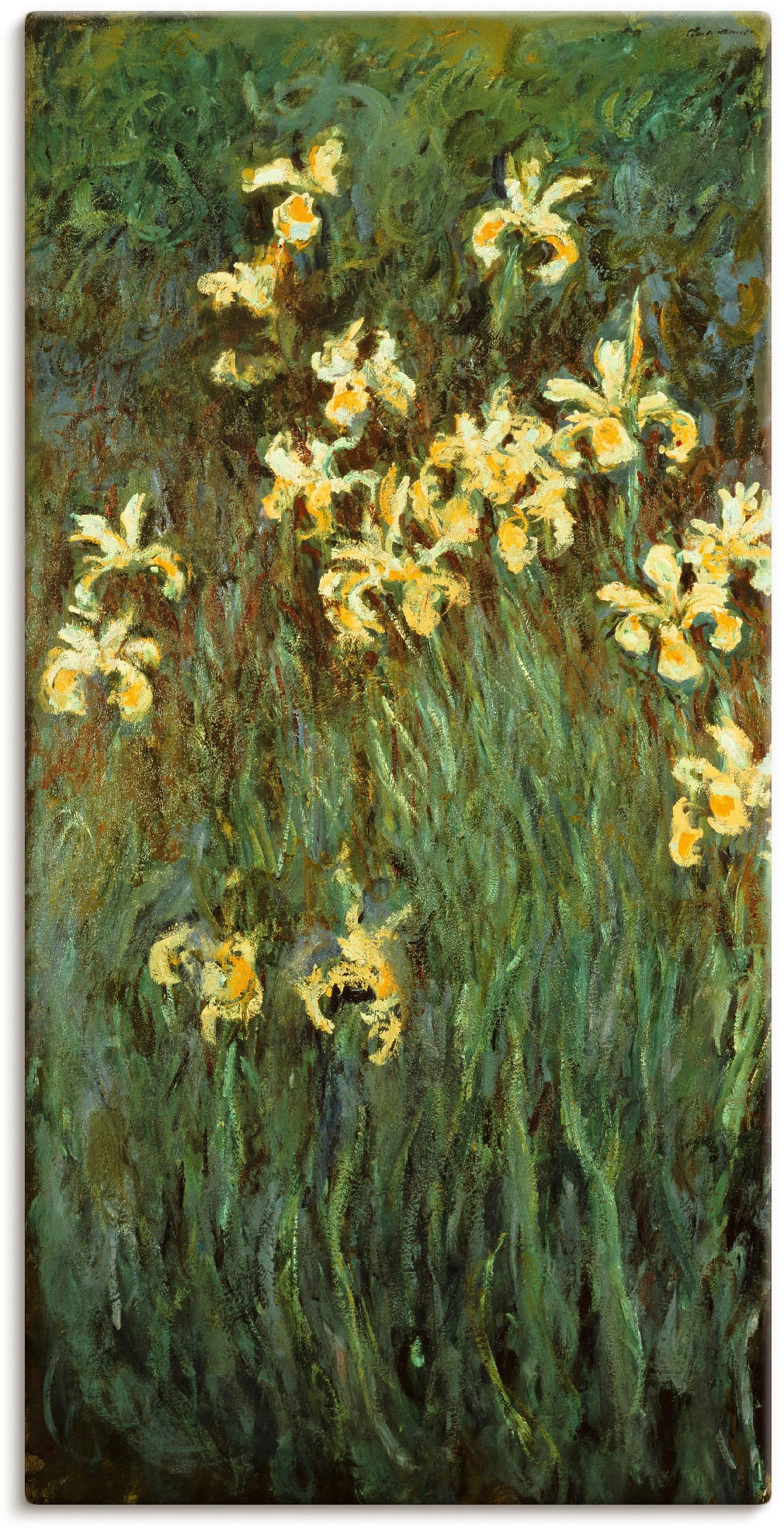 in Größen als Artland Poster St.), oder Wandaufkleber | bestellen Blumenwiese, »Gelbe versch. (1 Wandbild Iris.«, Leinwandbild, BAUR