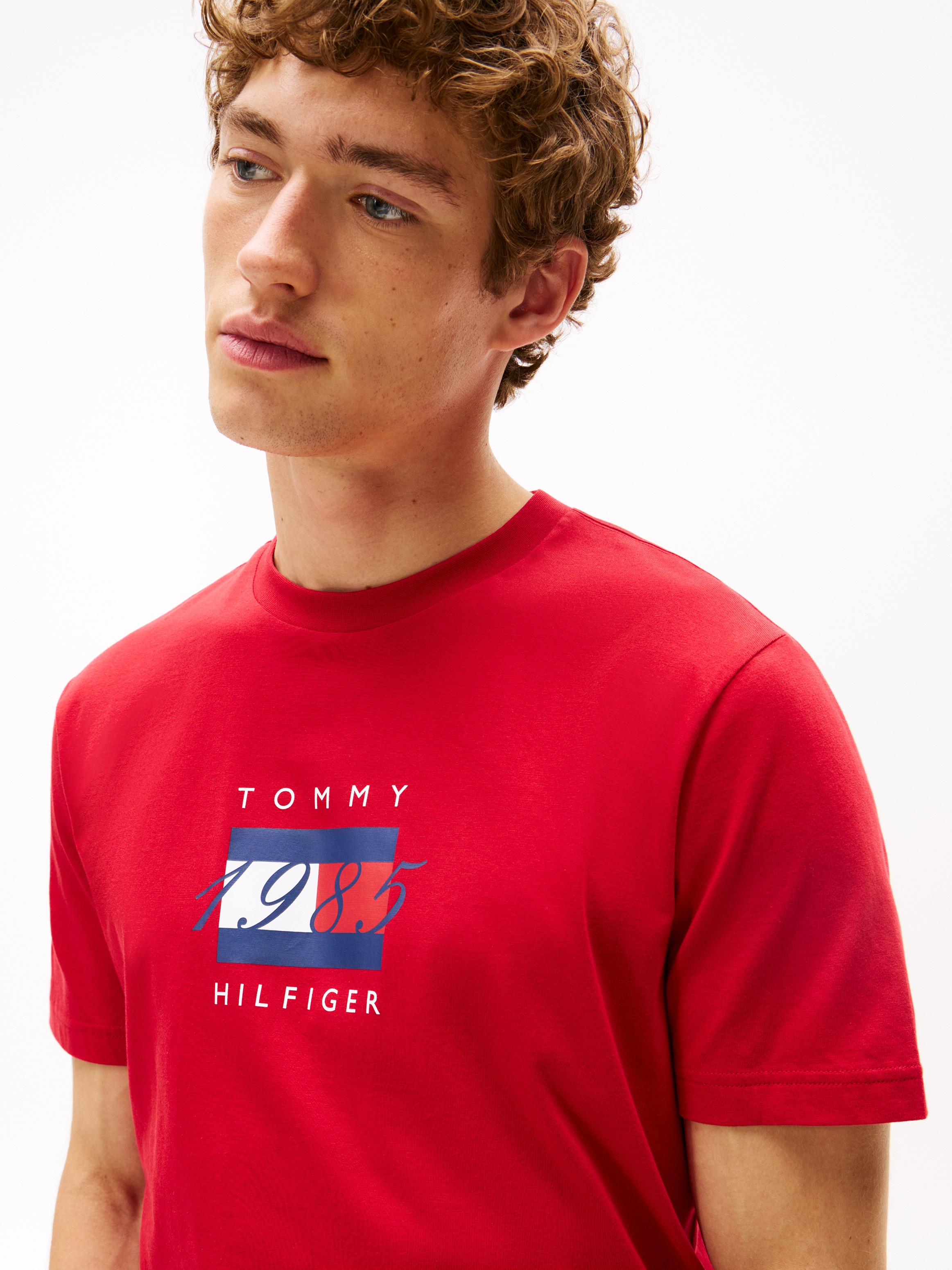 Tommy Hilfiger T-Shirt "LINEAR FLAG GRAPHIC", Rundhals, regular fit, Jersey günstig online kaufen