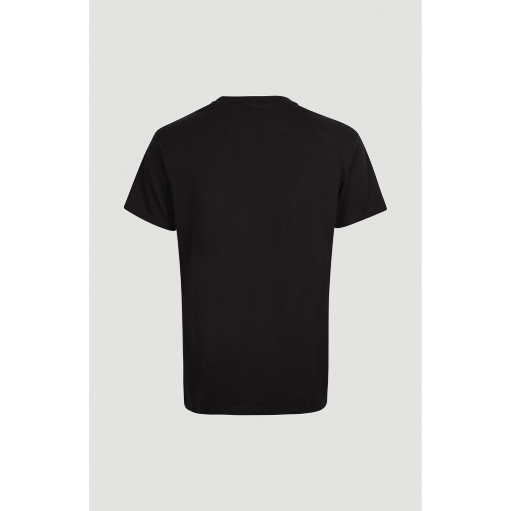 O'Neill T-Shirt »PALM T-SHIRT«