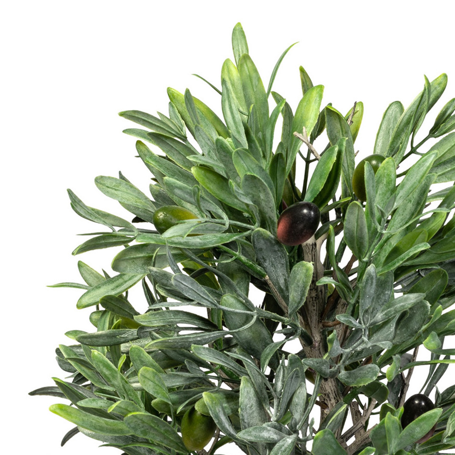 Creativ green Kunstpflanze »Olive«, mit detailgetreuer Gestaltung