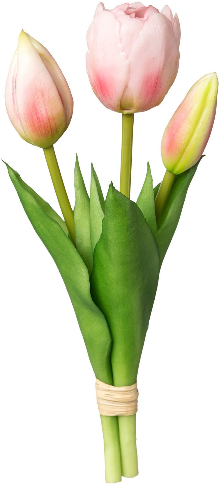 my home Kunsttulpe "Tulpenbund" günstig online kaufen