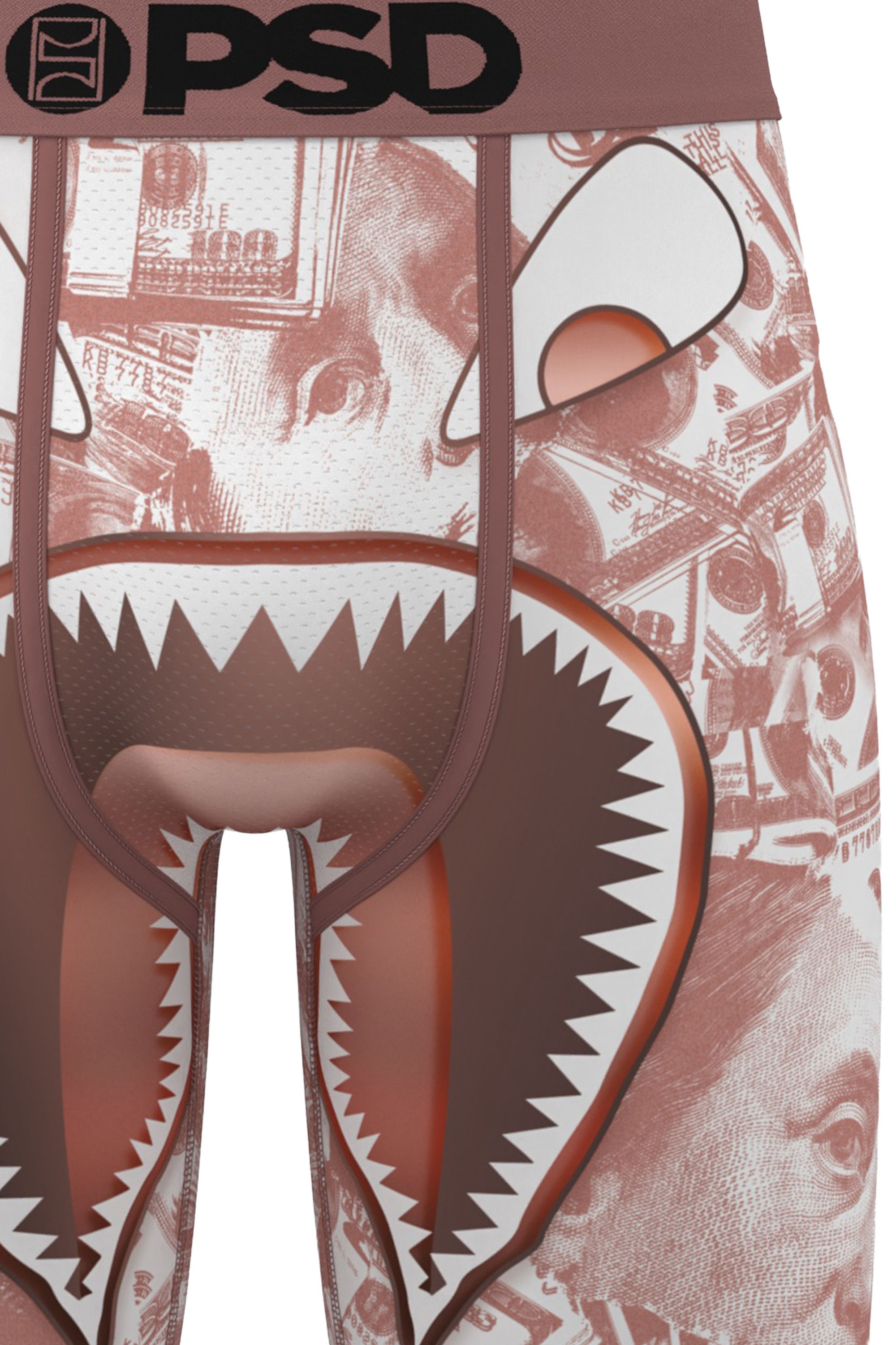 PSD Boxershorts »WF MINTED Herren«