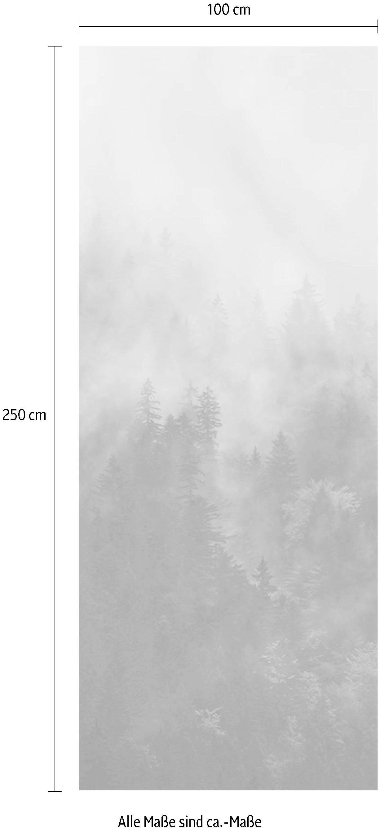 Komar Vliestapete »Digitaldruck Vlies -  Tales of the Carpathians Panel« bedruckt glatt Wohnzimmer, Schlafzimmer